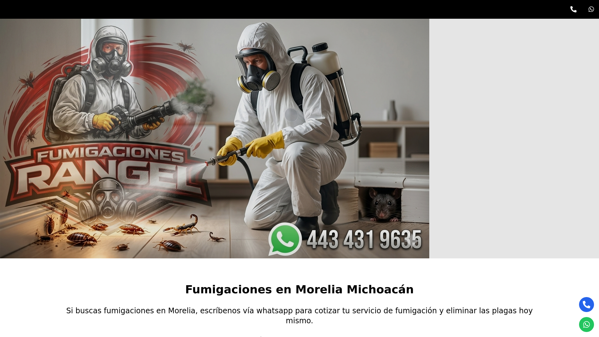 website screenshot of https://fumigacion-morelia.com/