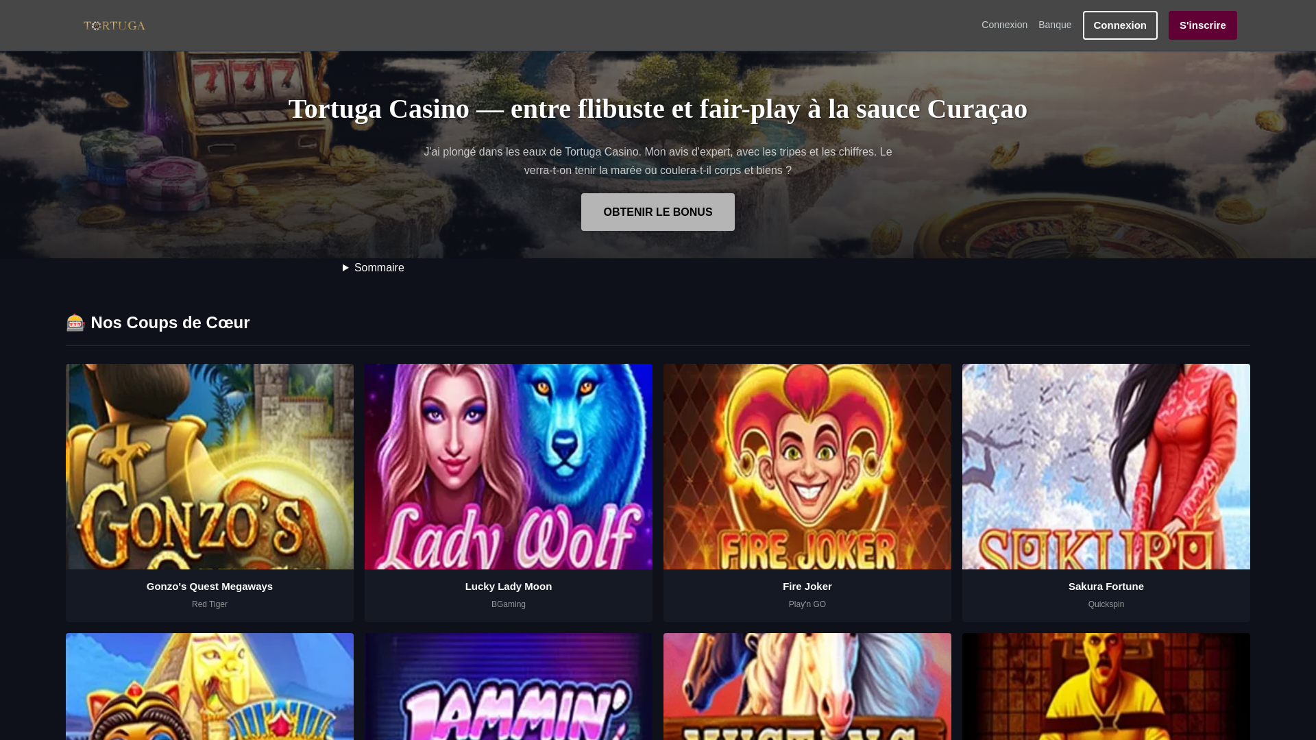 website screenshot of https://tortugafra.com