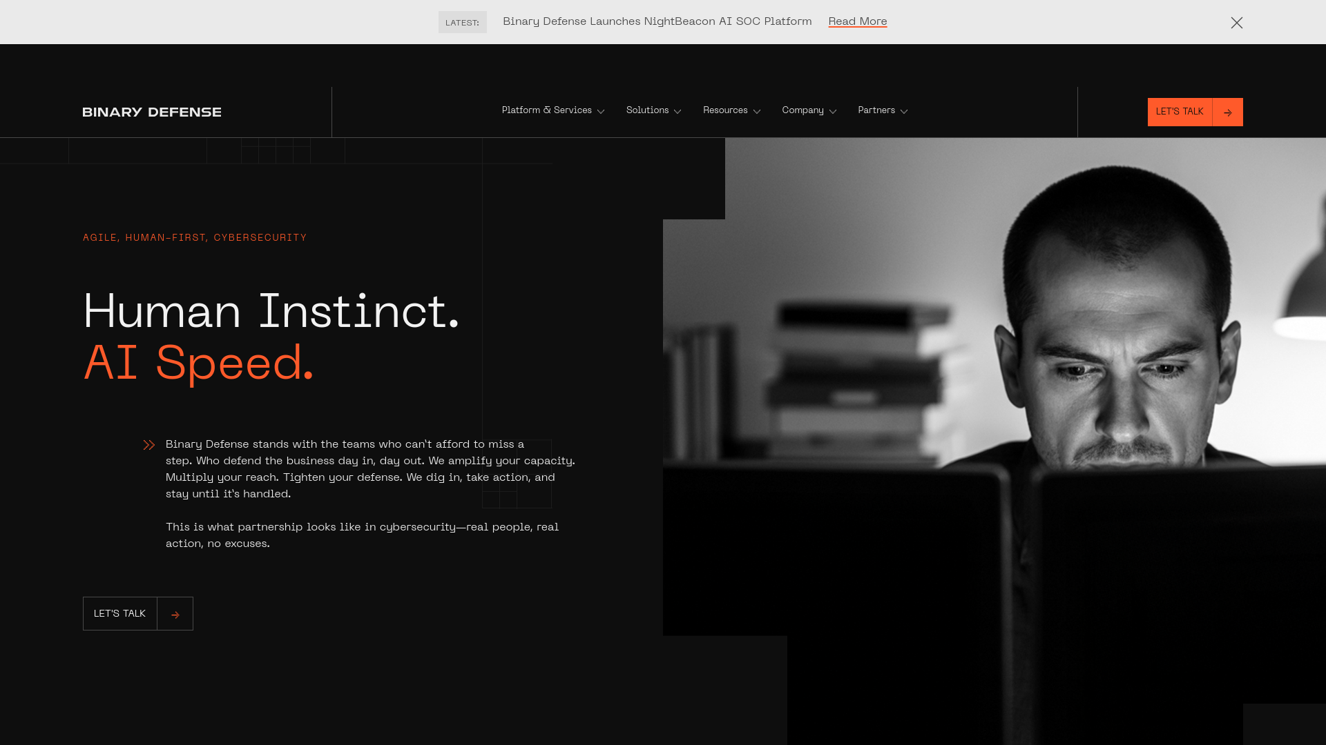 website screenshot of https://www.binarydefense.com/