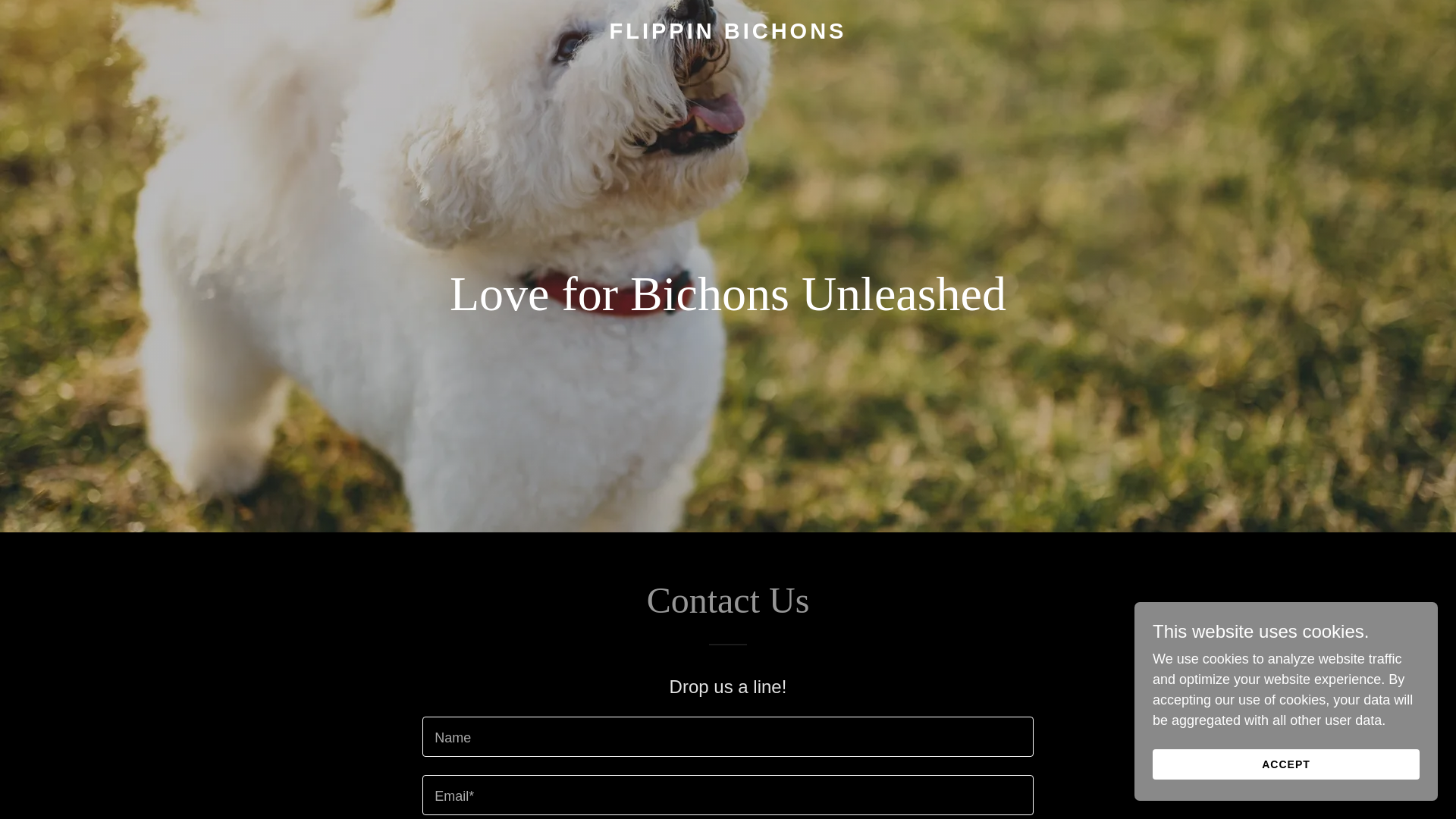 website screenshot of https://flippinbichons.com/