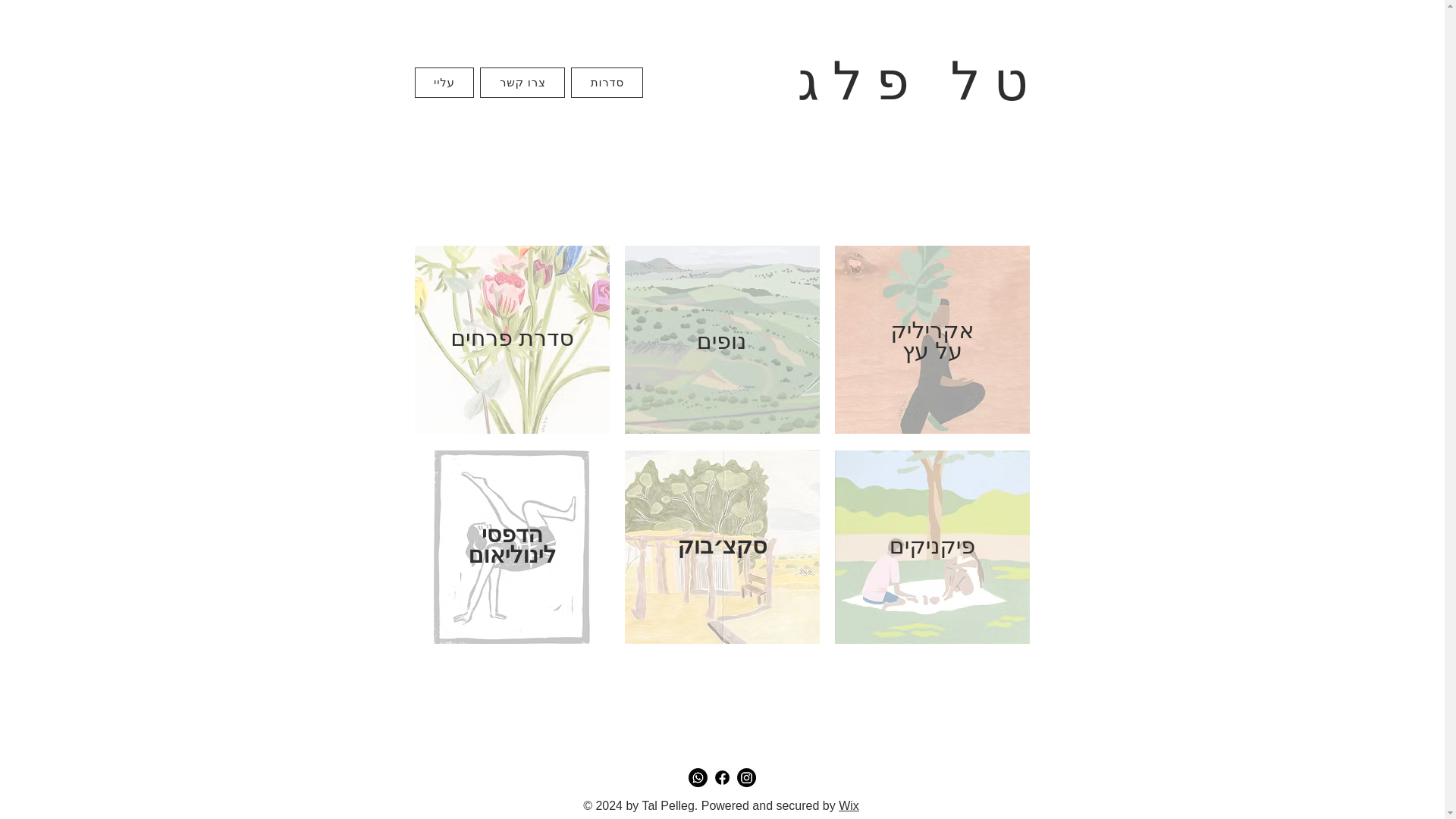 website screenshot of https://talpelleg.com/