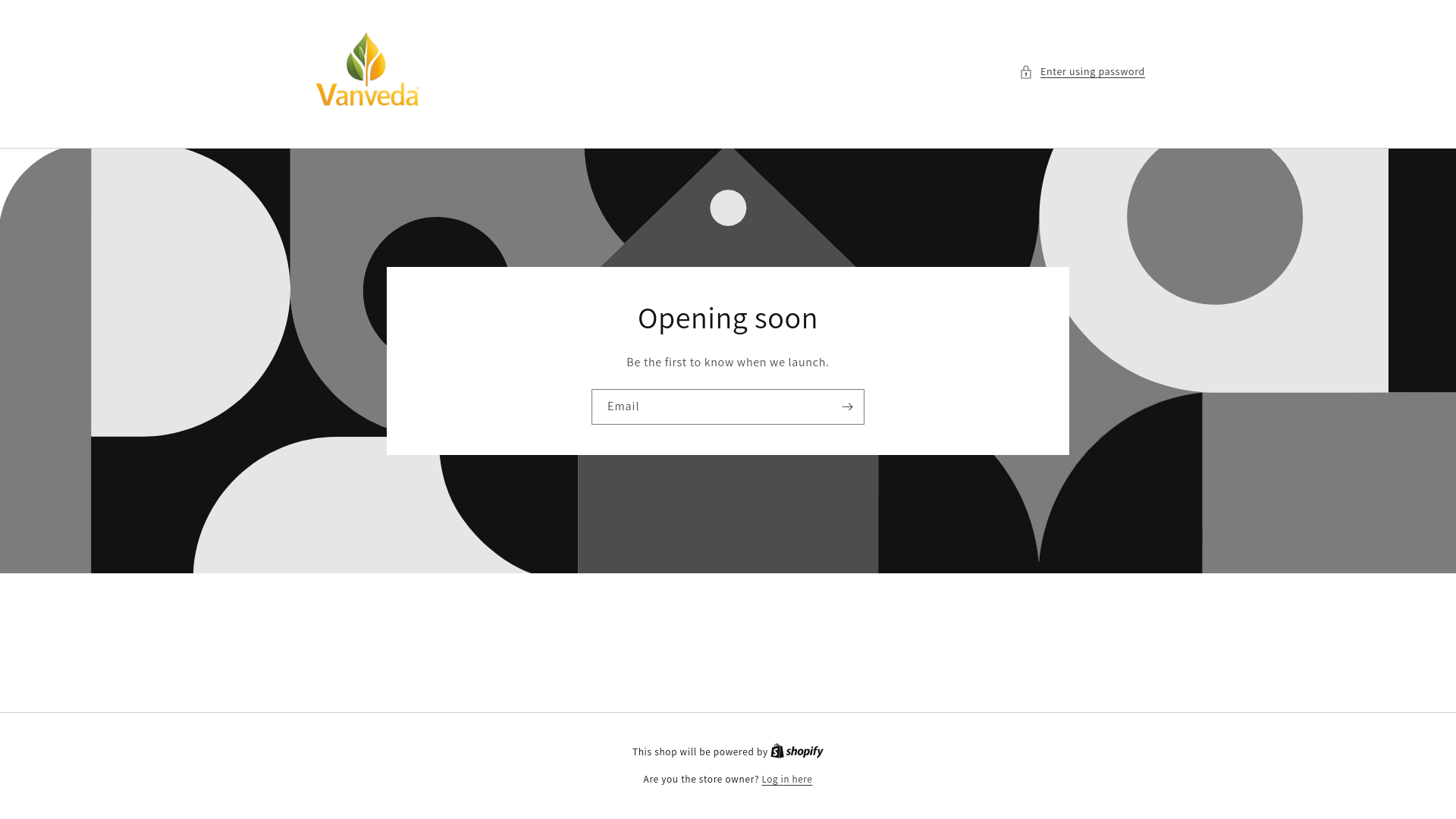 website screenshot of https://vanveda.store/