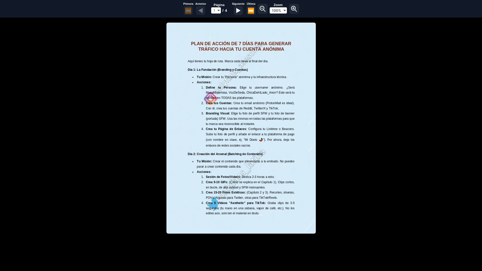 website screenshot of https://visor-plan-de-accion-7-dias.pages.dev/