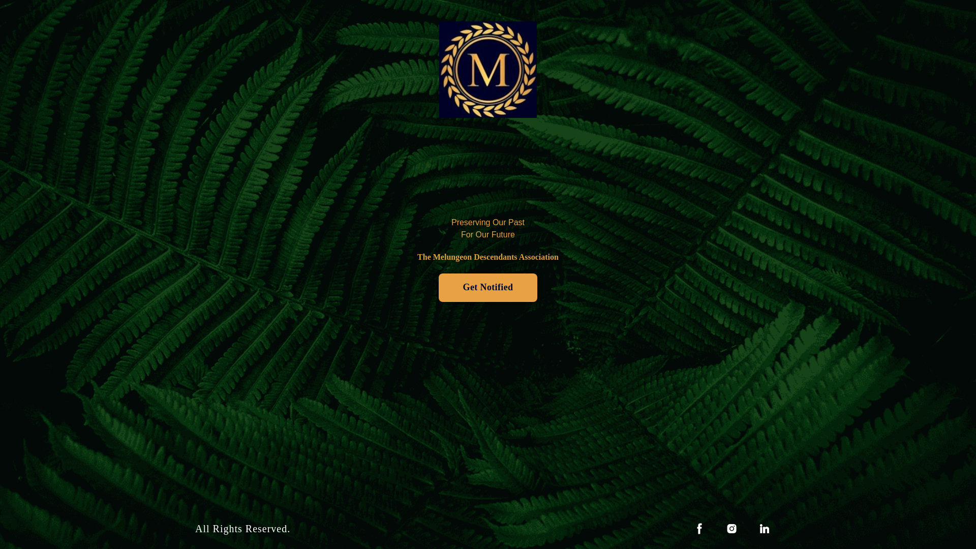 website screenshot of https://melungeondescendants.com/