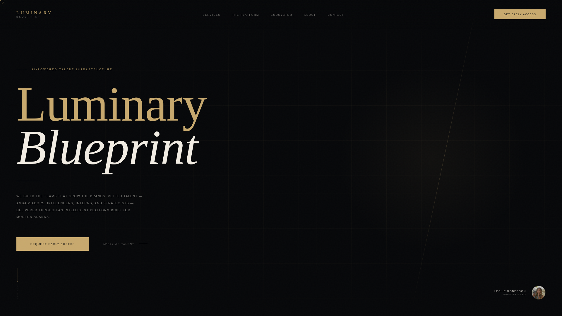 website screenshot of https://luminaryblueprint.co/