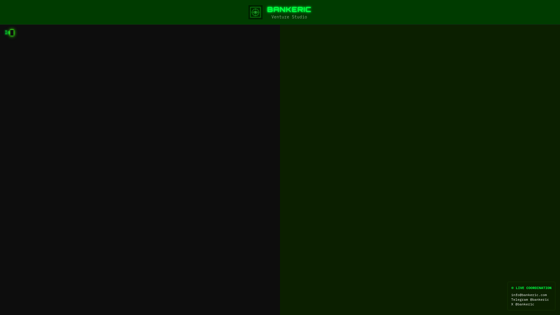 website screenshot of https://bankeric.com/