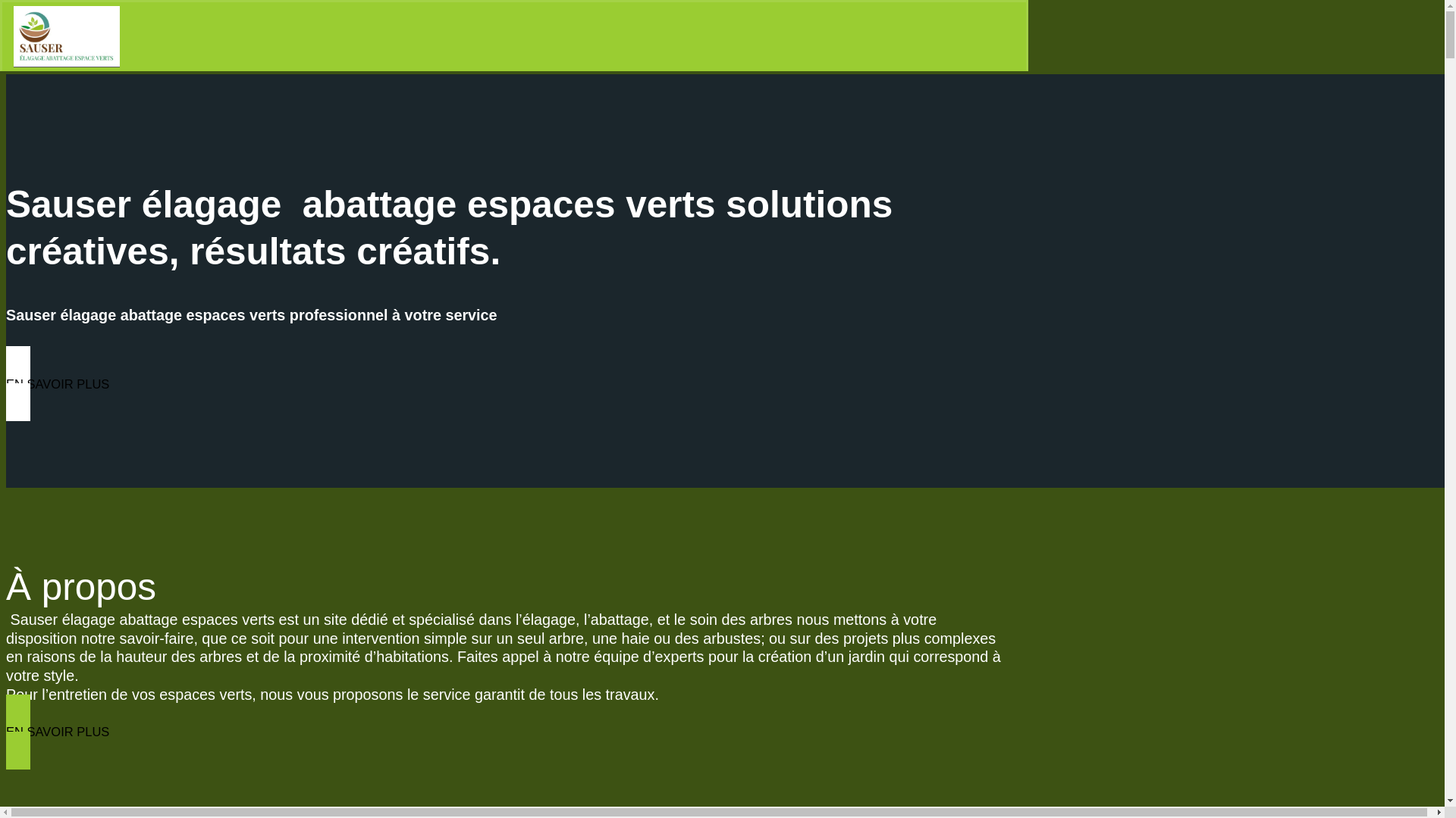 website screenshot of https://sauser-elagage-paysagiste.fr/