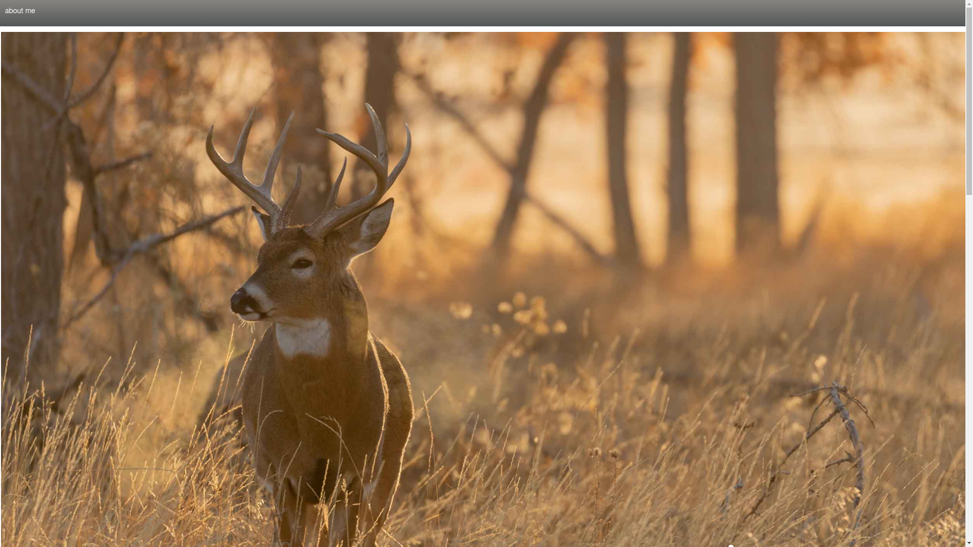 website screenshot of https://texmexoutfitters.com/