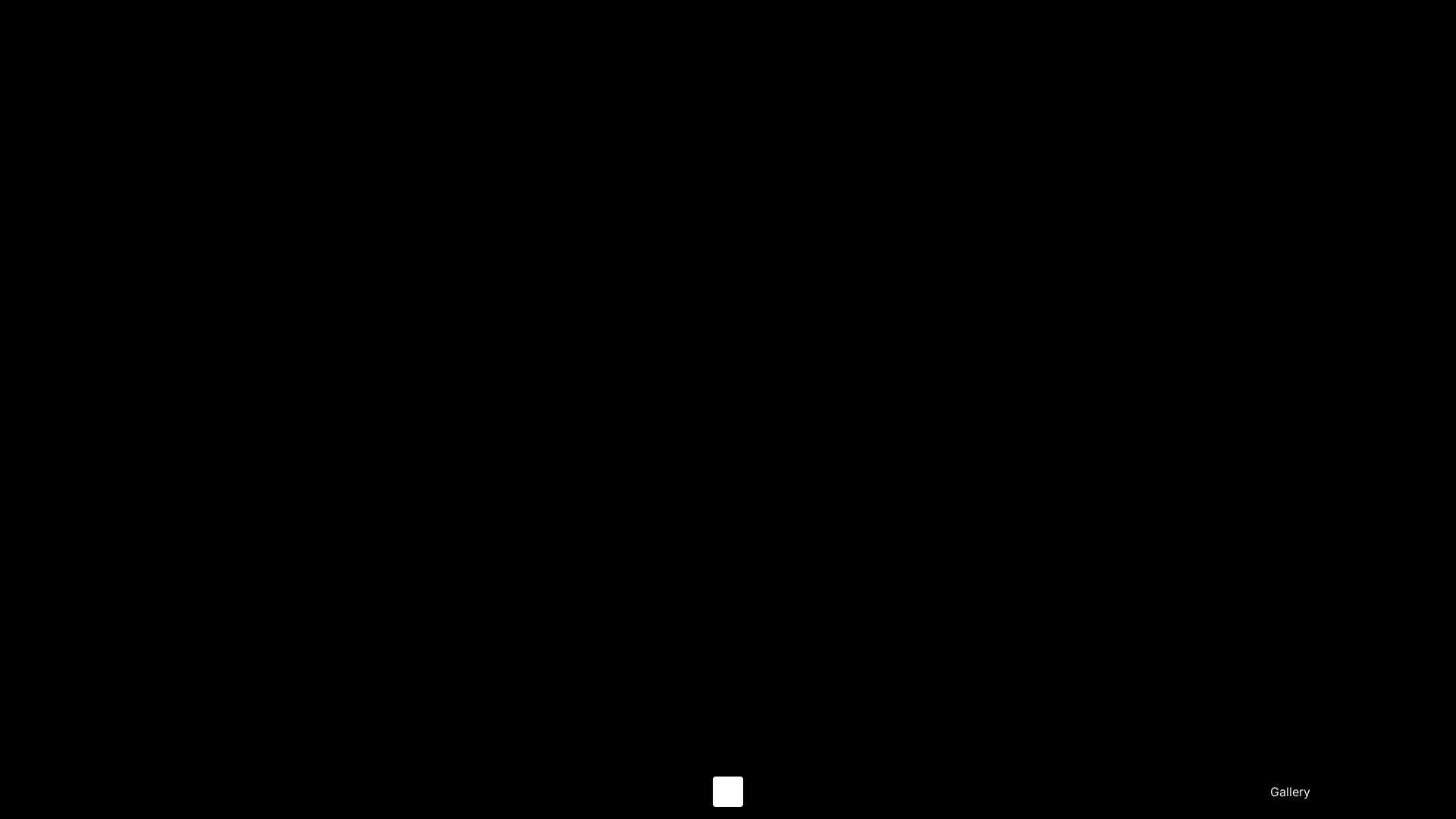 website screenshot of https://palm-cam.pages.dev/