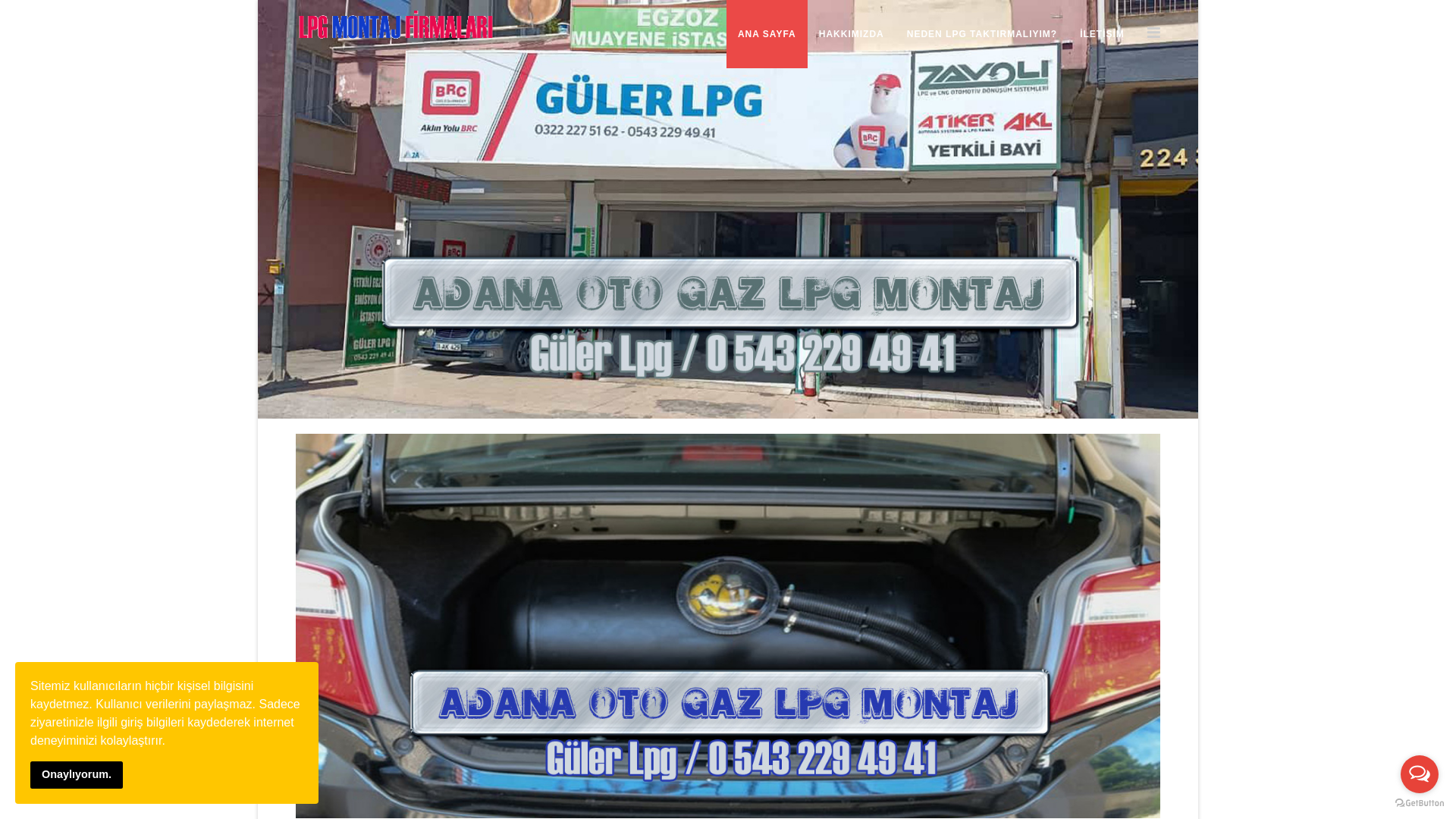 website screenshot of https://adanalpgmontajfirmalari.com.tr/