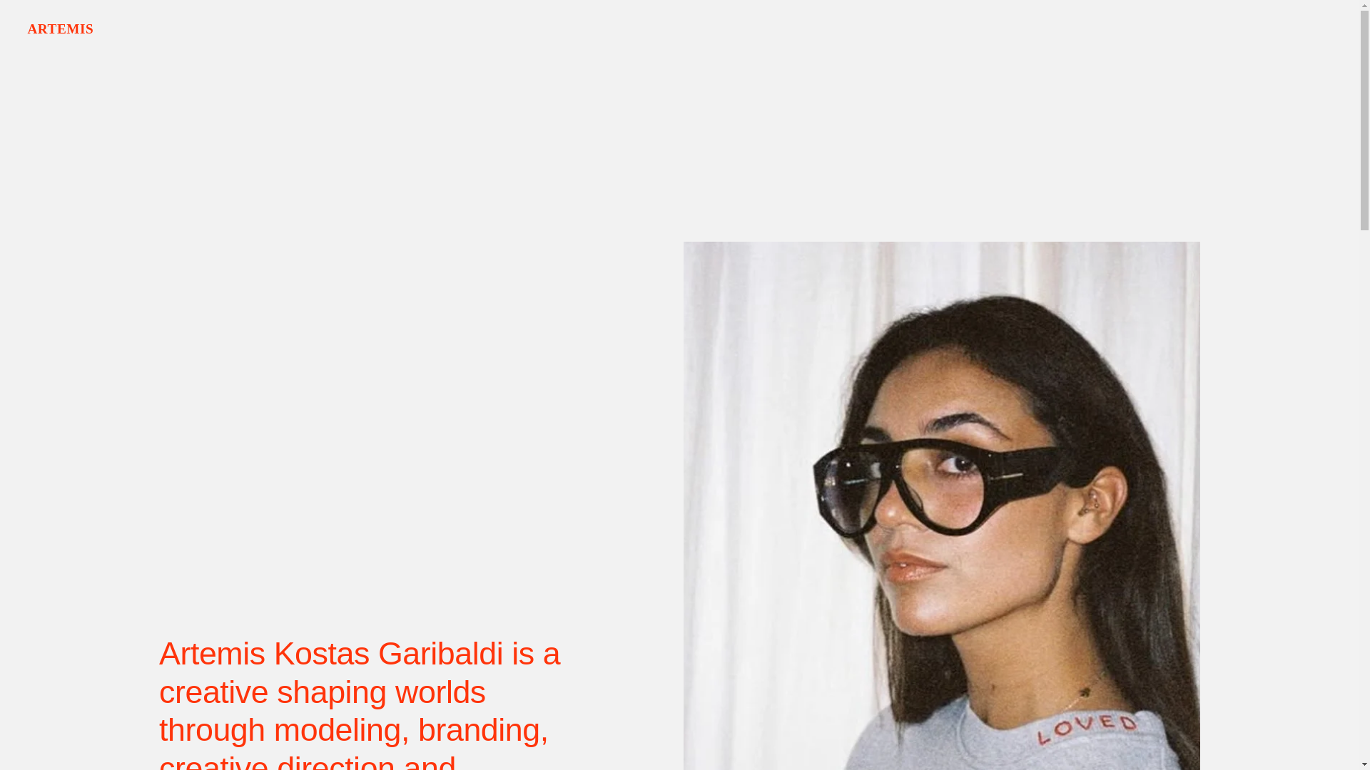 website screenshot of https://artemisgaribaldi.nl/
