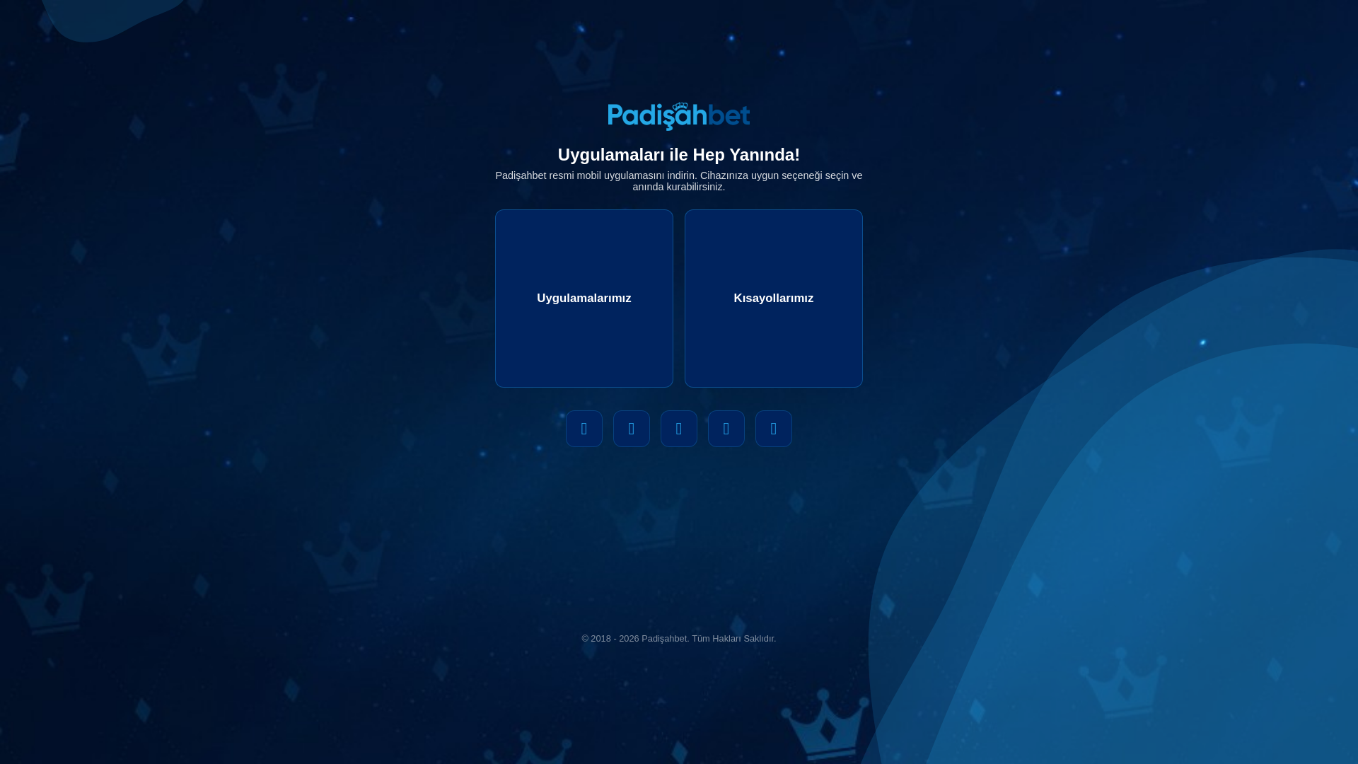 website screenshot of https://padisahbetapp.com