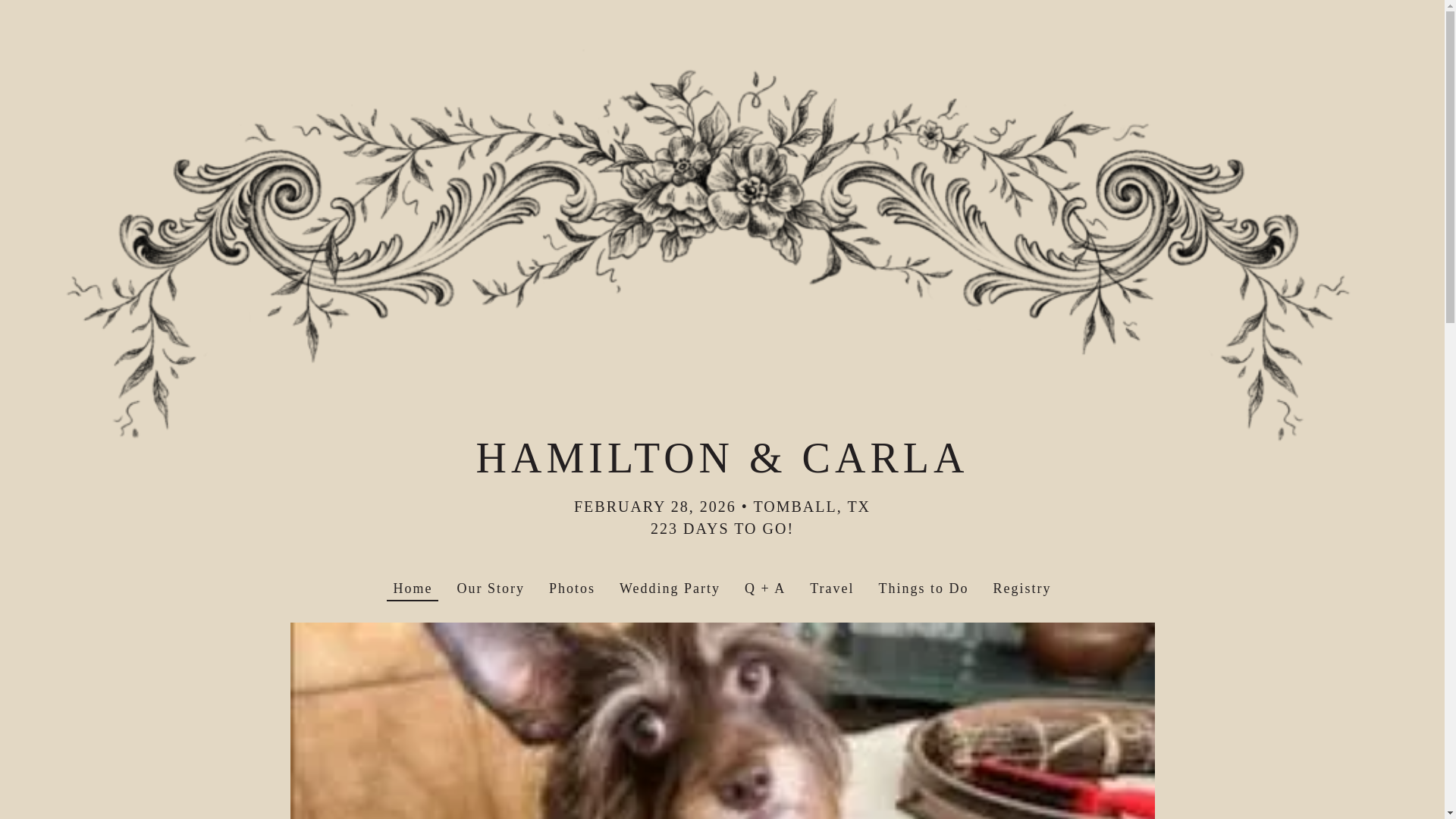 website screenshot of https://carlaandhamilton.com/