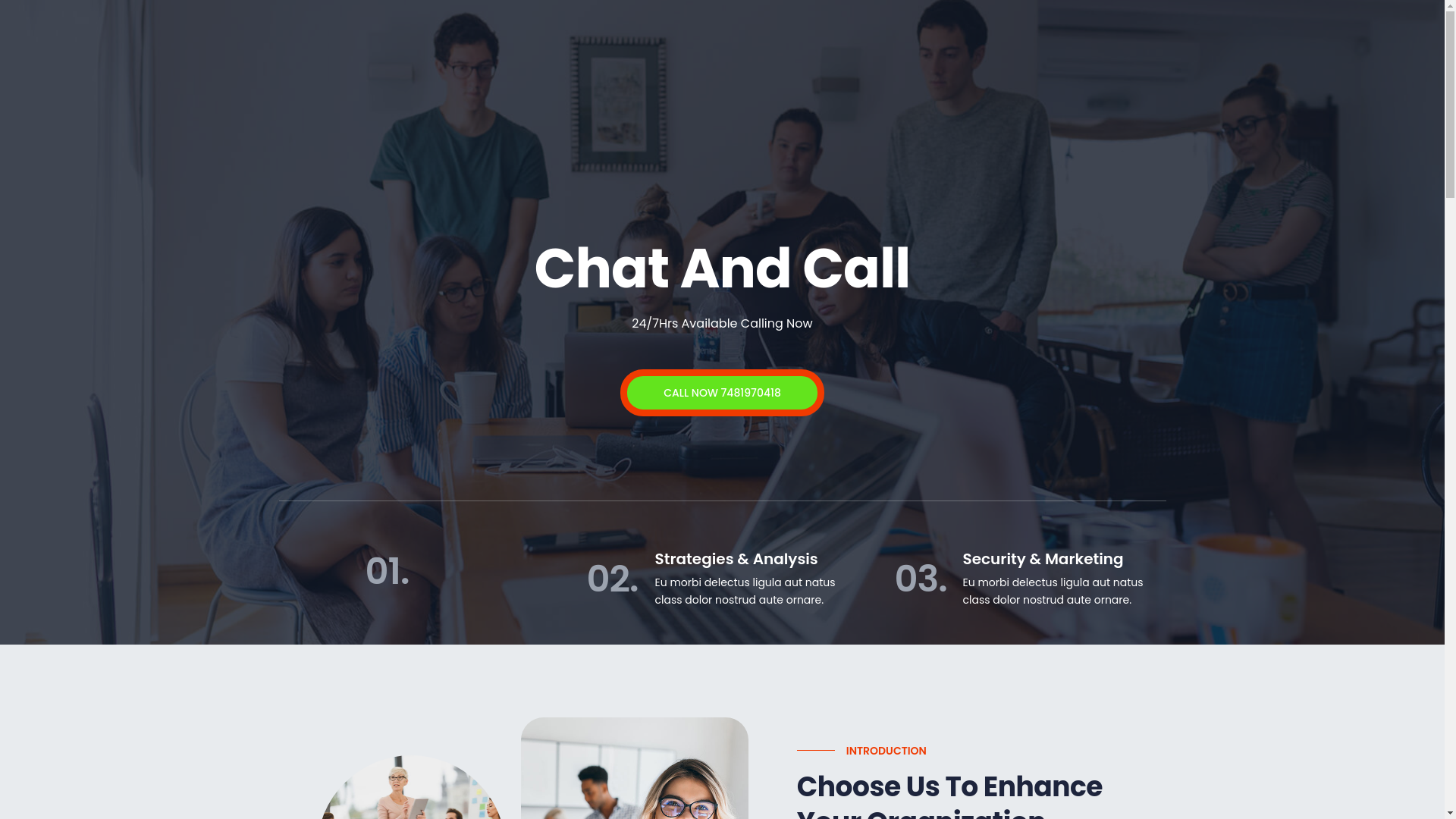 website screenshot of https://vectys.in/