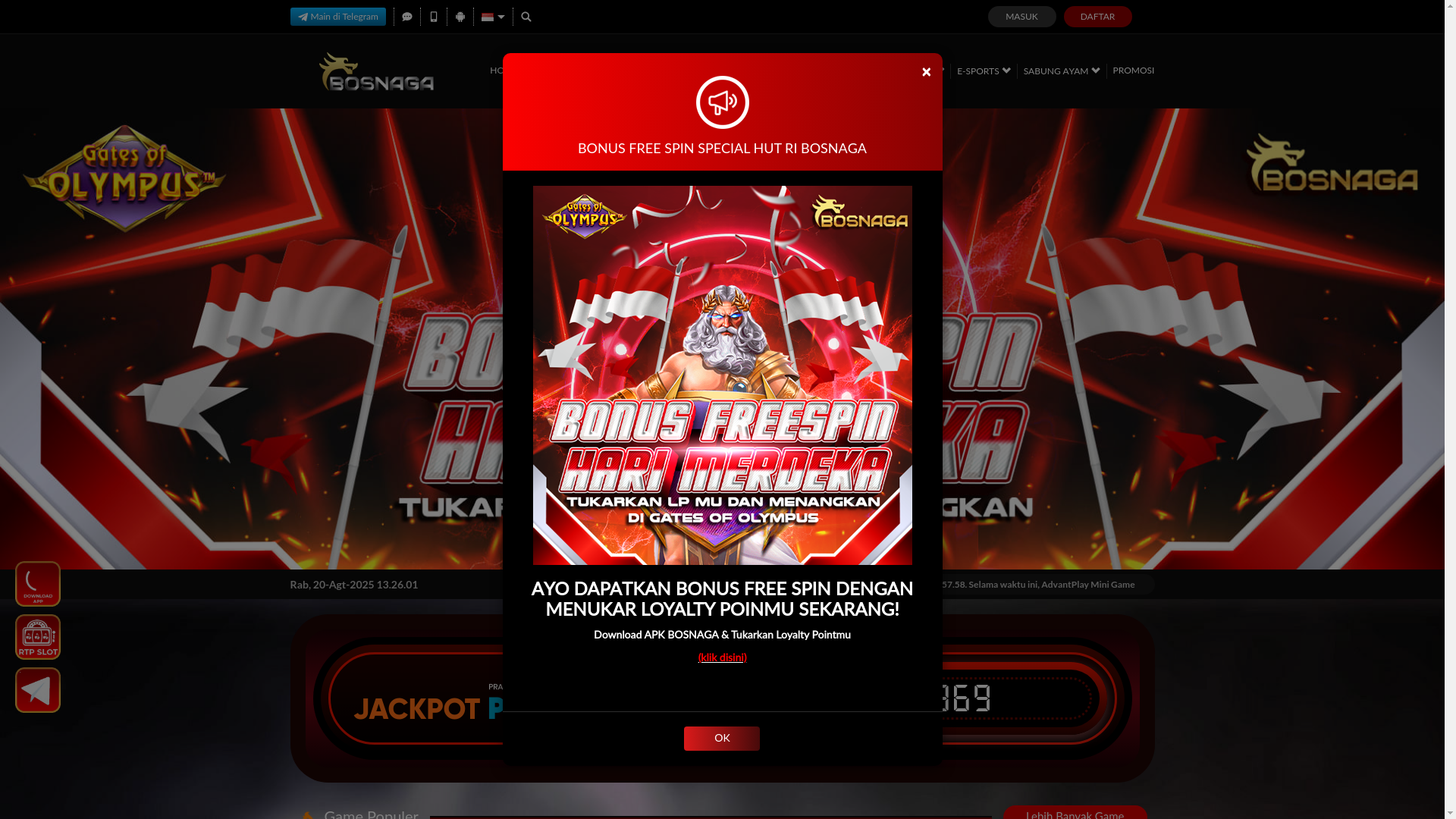 website screenshot of https://bosnagawww.com/