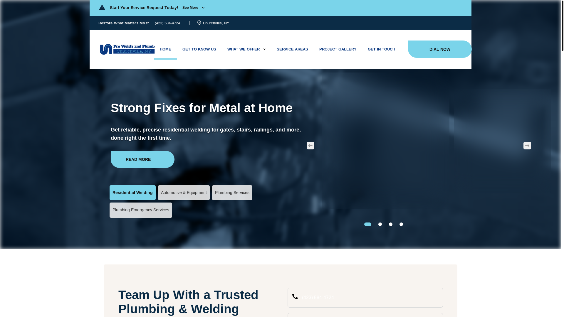 website screenshot of https://proweldsandplumb.com/