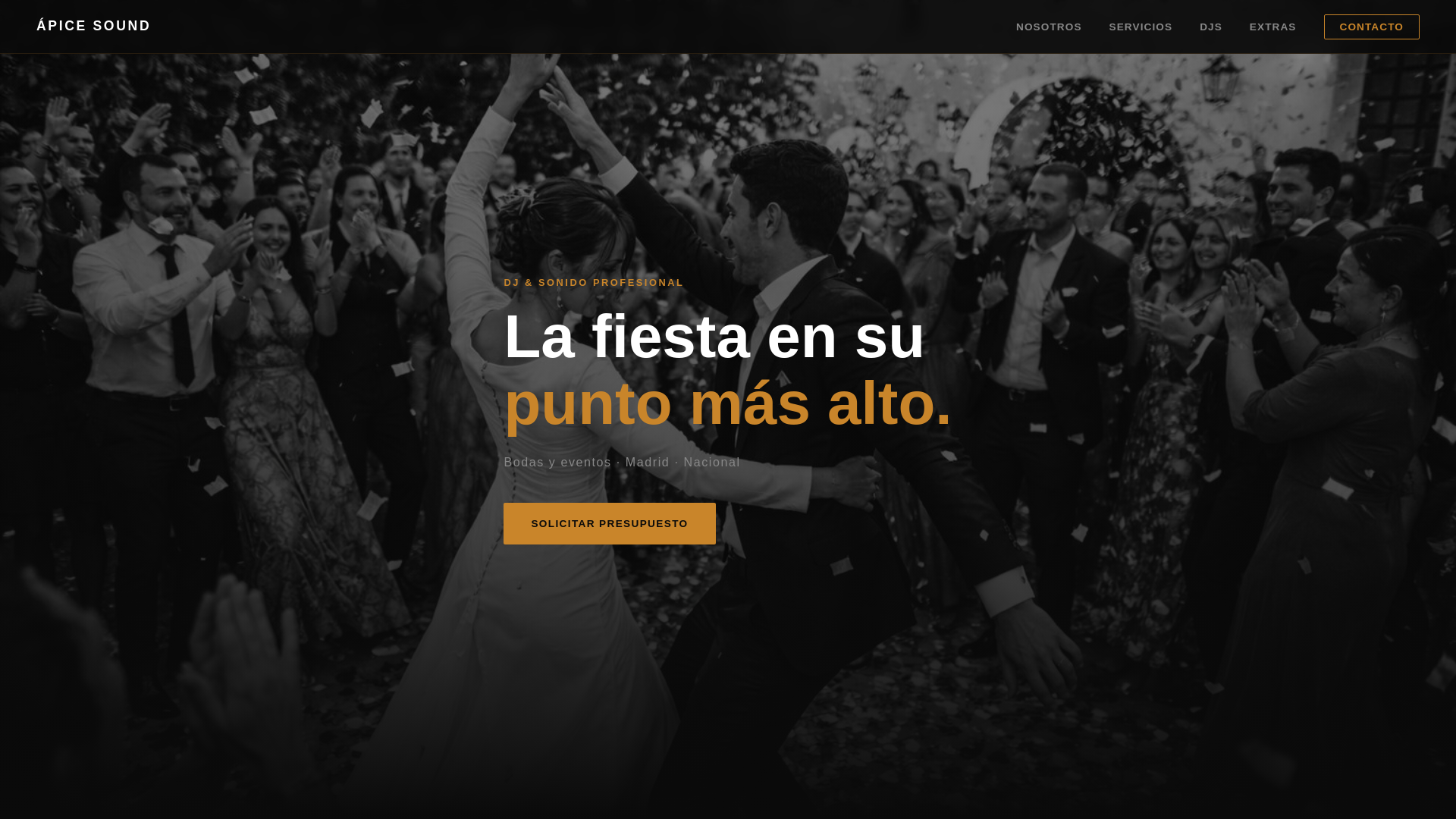 website screenshot of https://apicesound.com