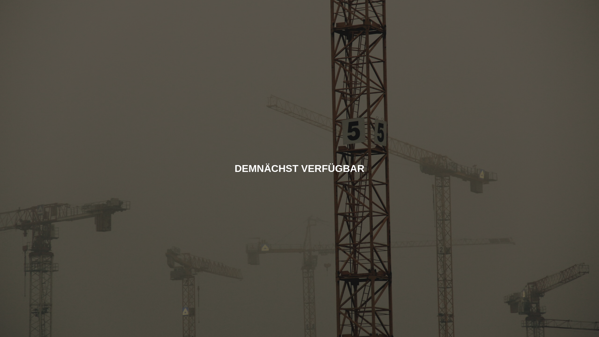 website screenshot of https://fuchsbauer-apartments.at/