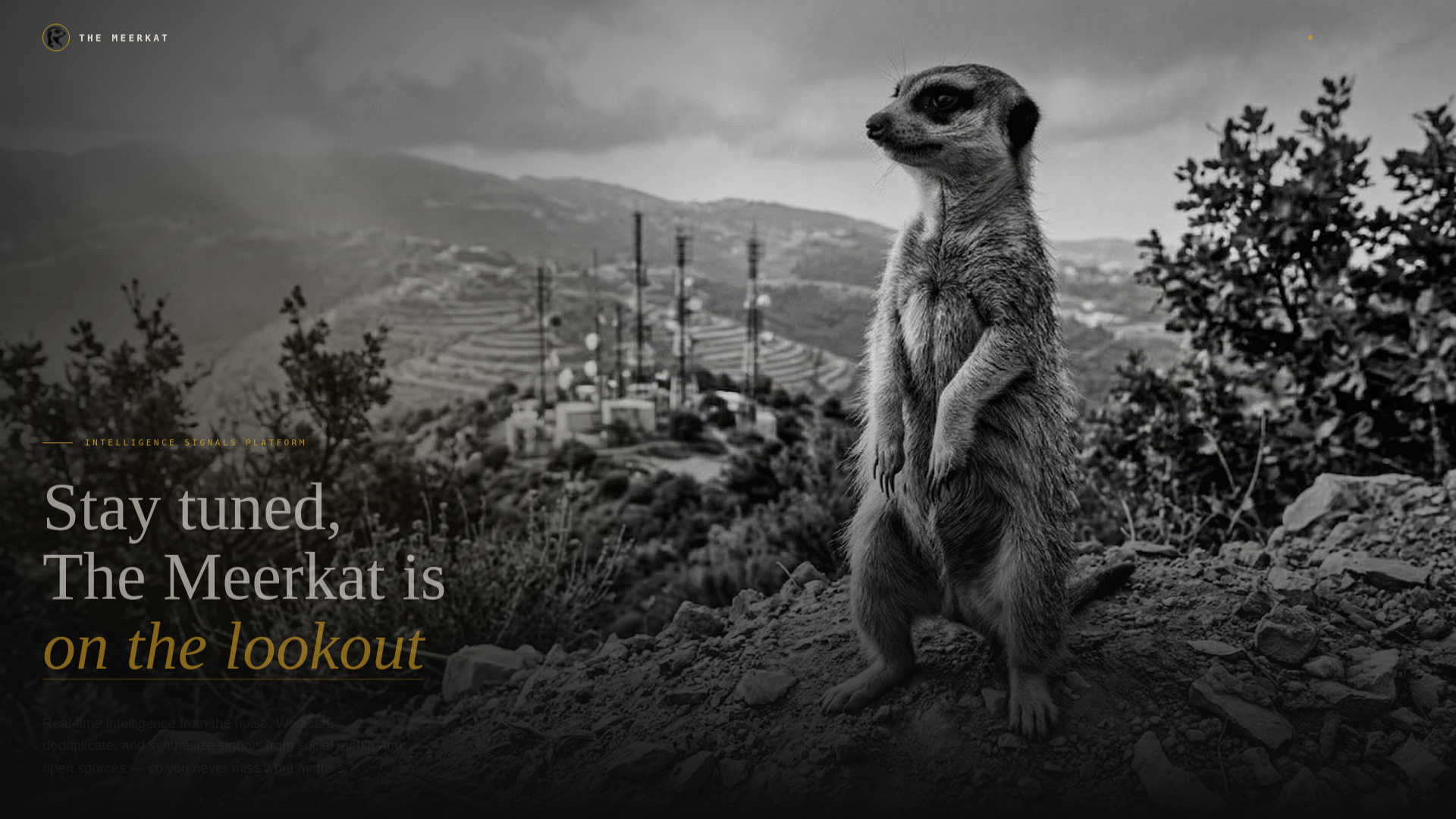 website screenshot of https://themeerkat.ai/