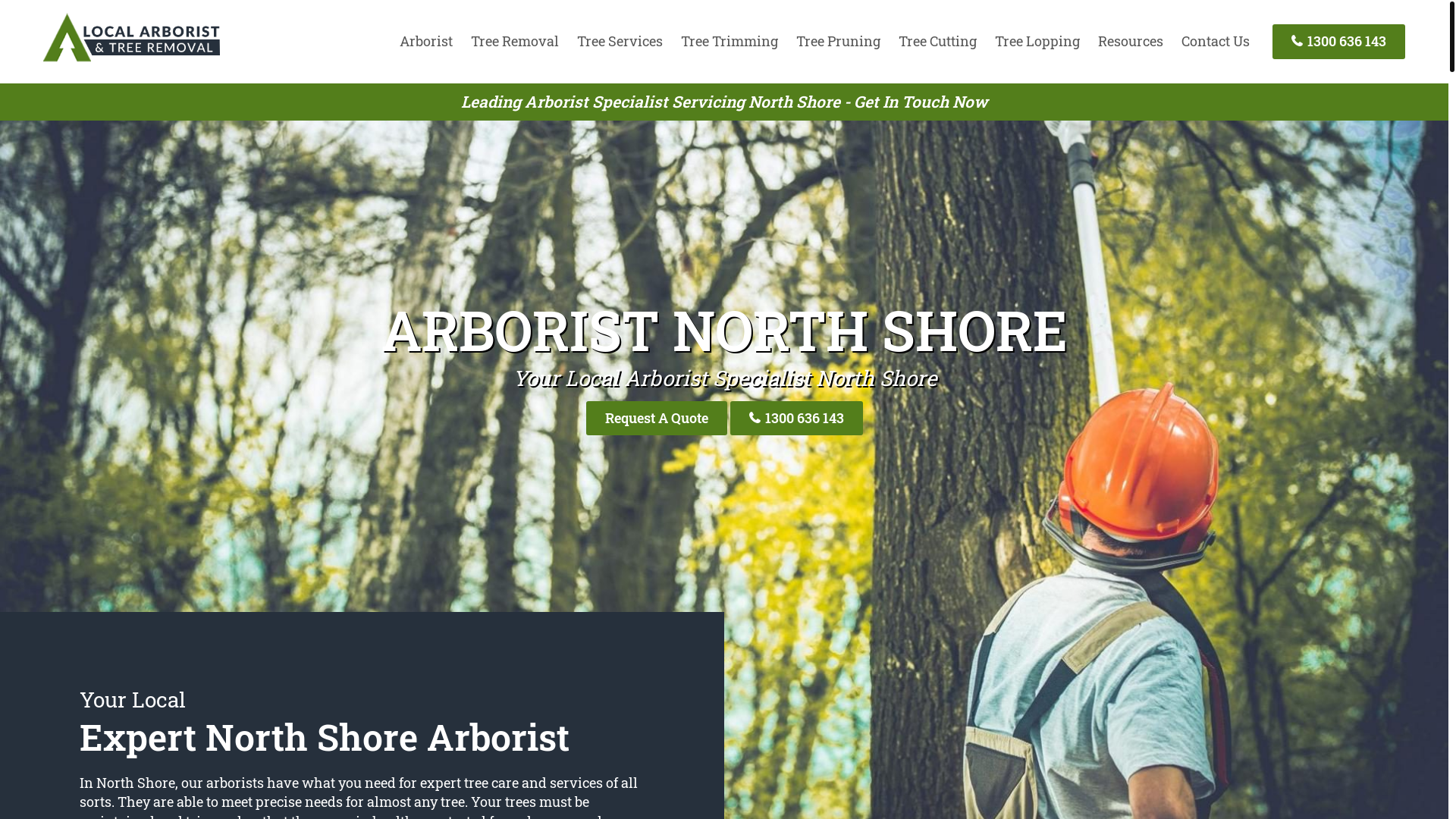website screenshot of https://northshoretreeremoval-com-au.pages.dev/