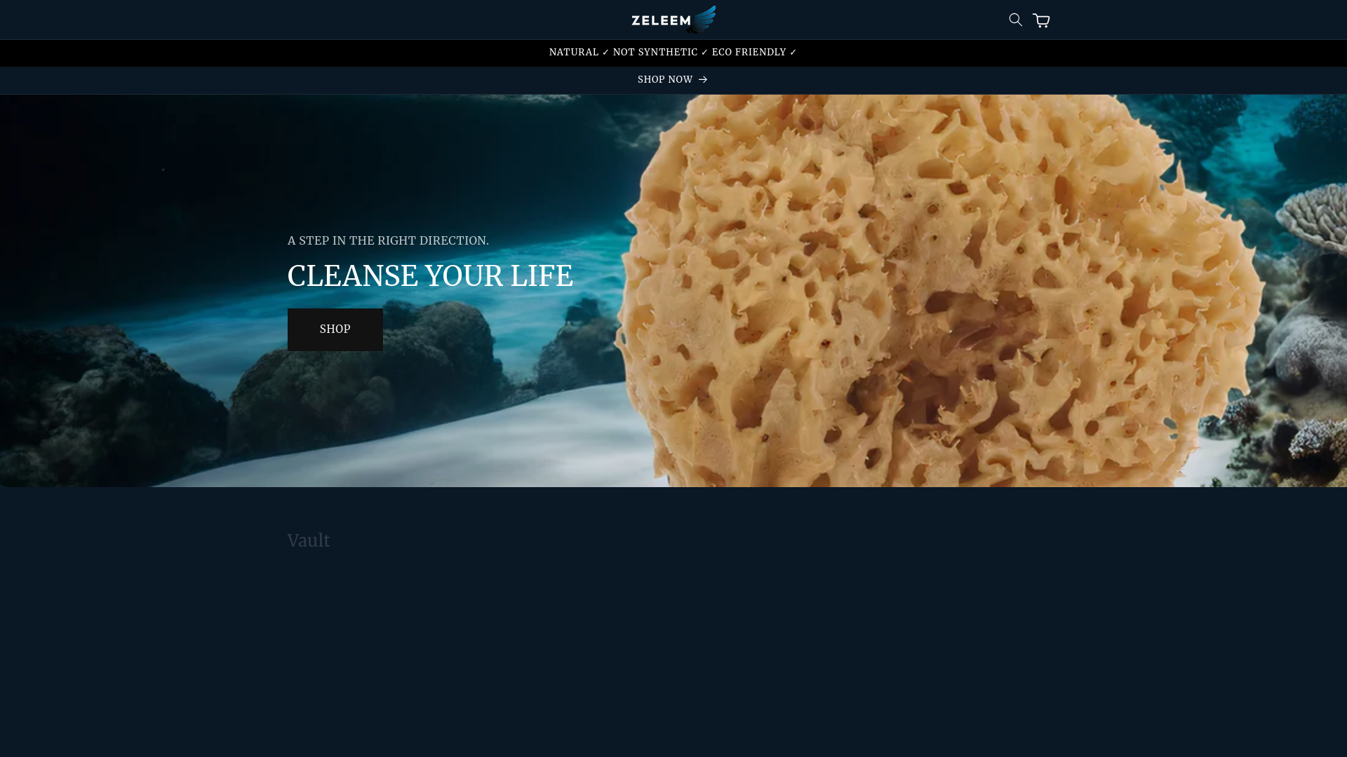 website screenshot of https://zeleemstore.com/