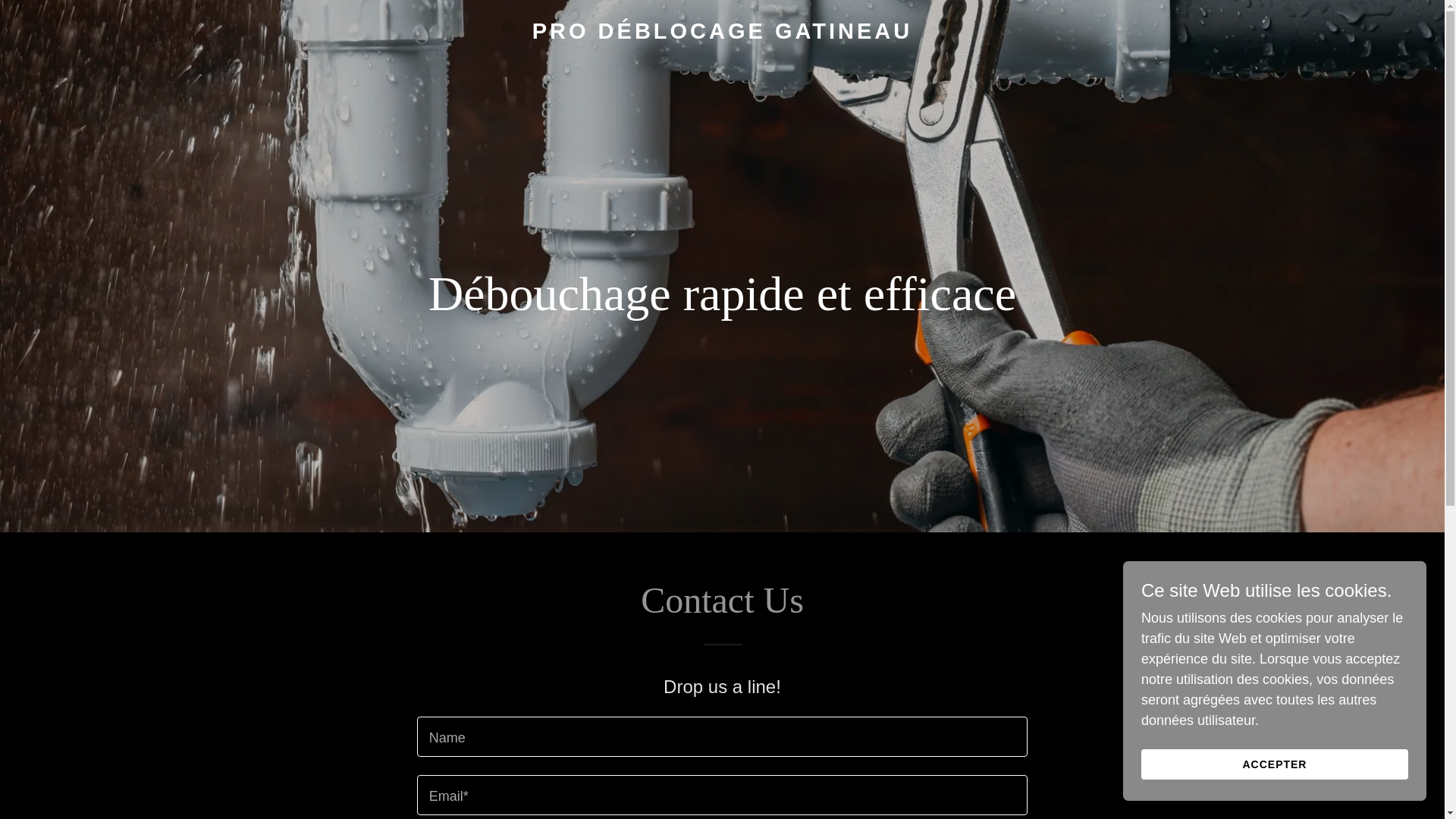 website screenshot of https://prodeblocagegatineau.ca/