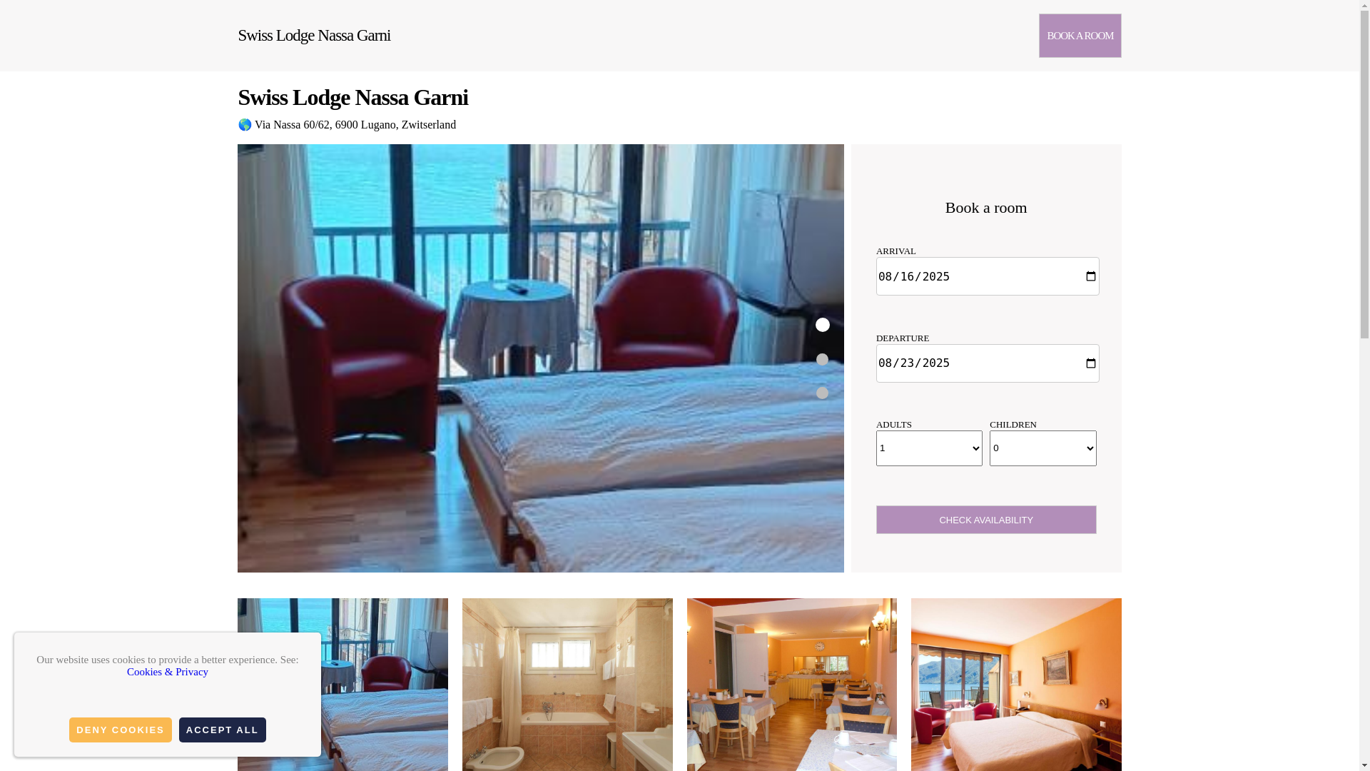 website screenshot of https://hotel-nassa.com.es/