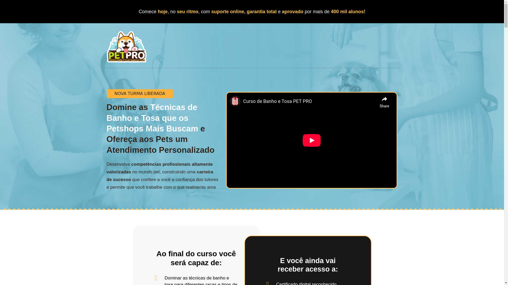 website screenshot of https://cursodebanhoetosapetpro.com/