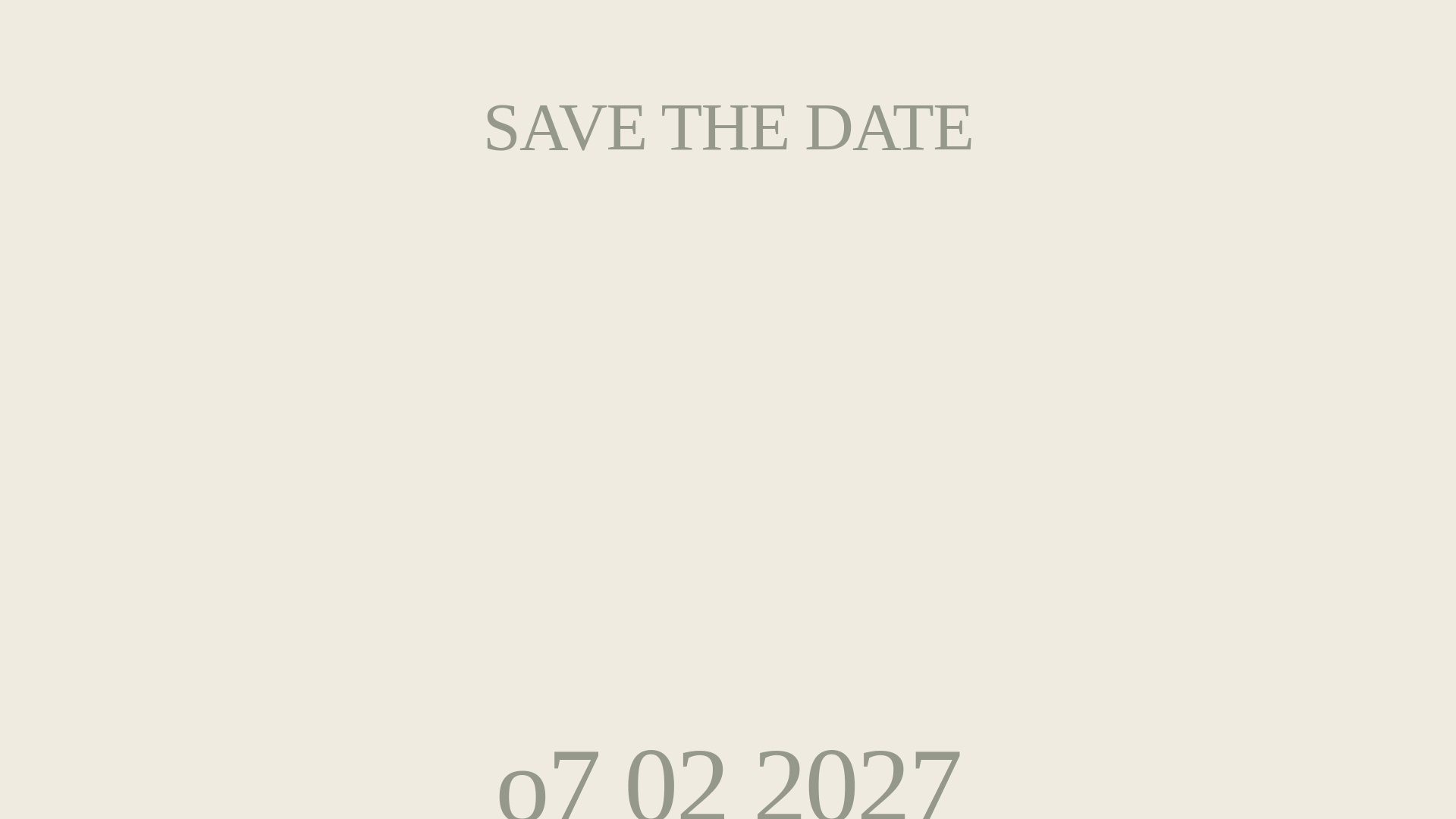 website screenshot of https://marysandbarrys.com/