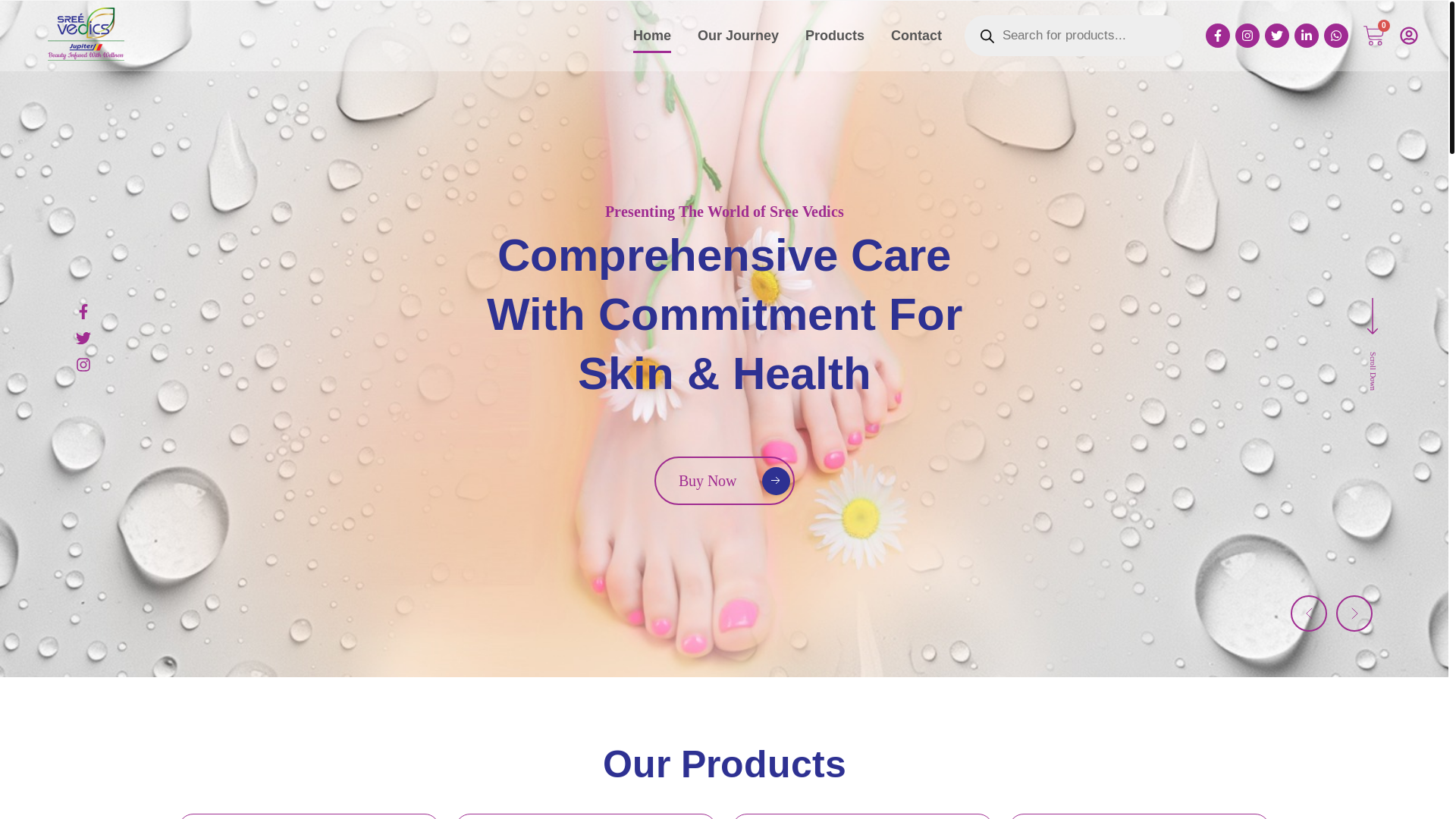 website screenshot of https://srivedics.com/