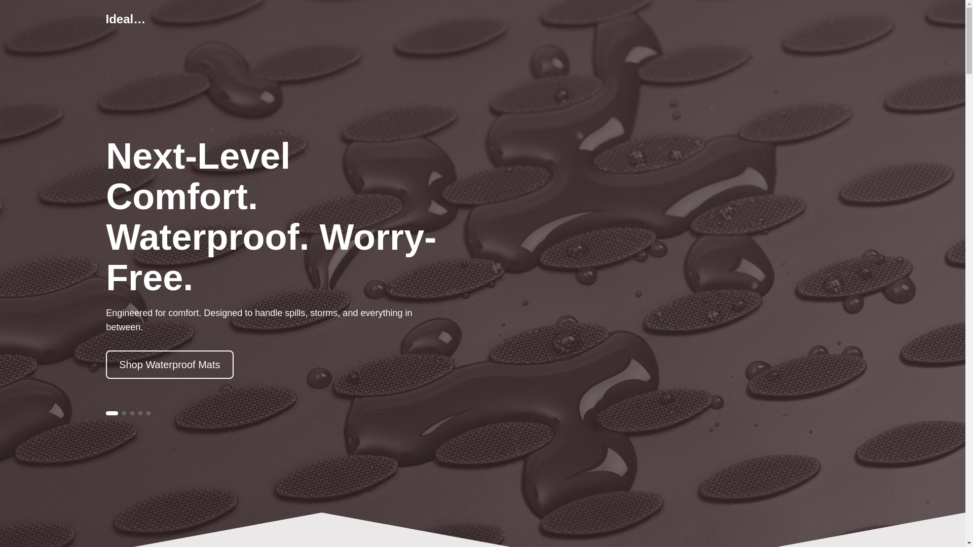 website screenshot of https://coreidealist.com/