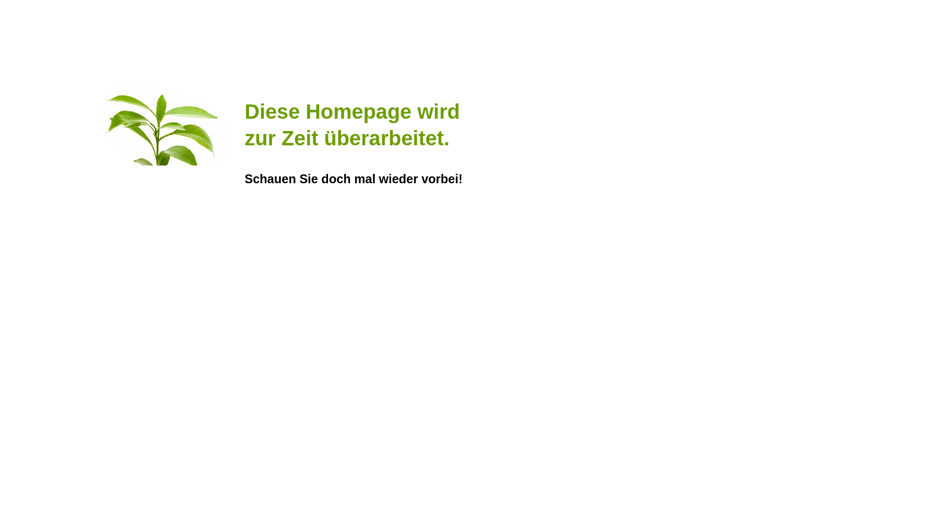 website screenshot of https://kiga-stettbach.de/