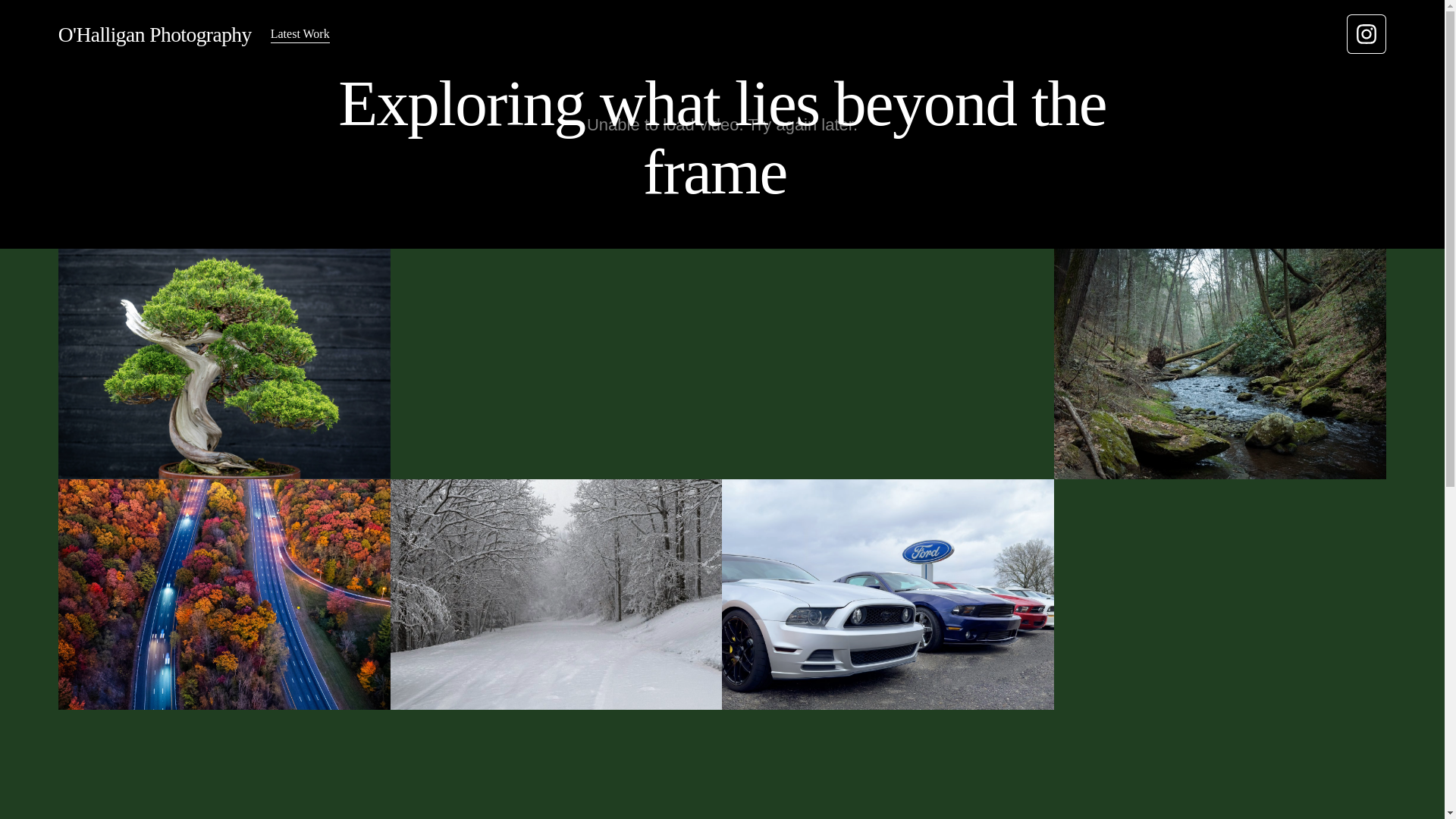 website screenshot of https://ohalliganphotography.com/