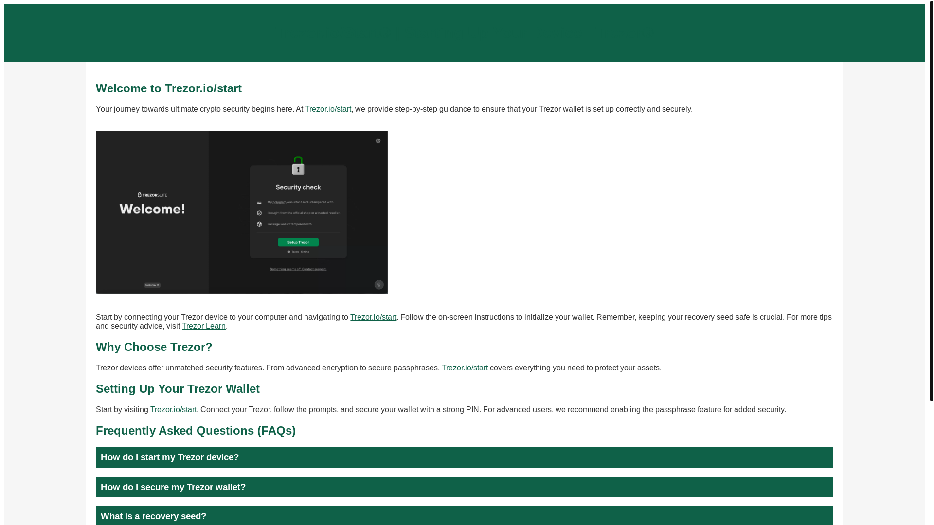 website screenshot of https://official-setup-portal-trezor.onrender.com/