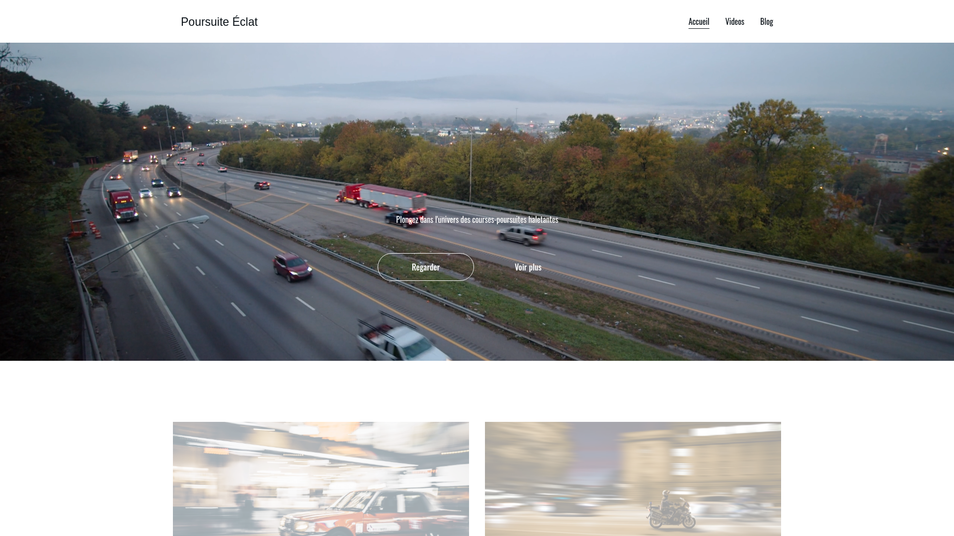 website screenshot of https://poursuitwatch.de
