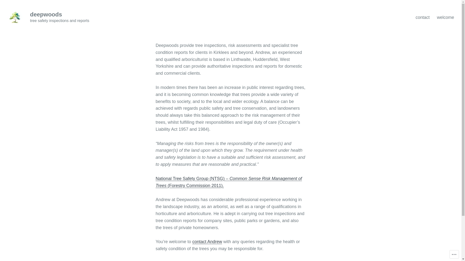 website screenshot of https://deepwoods.consulting/