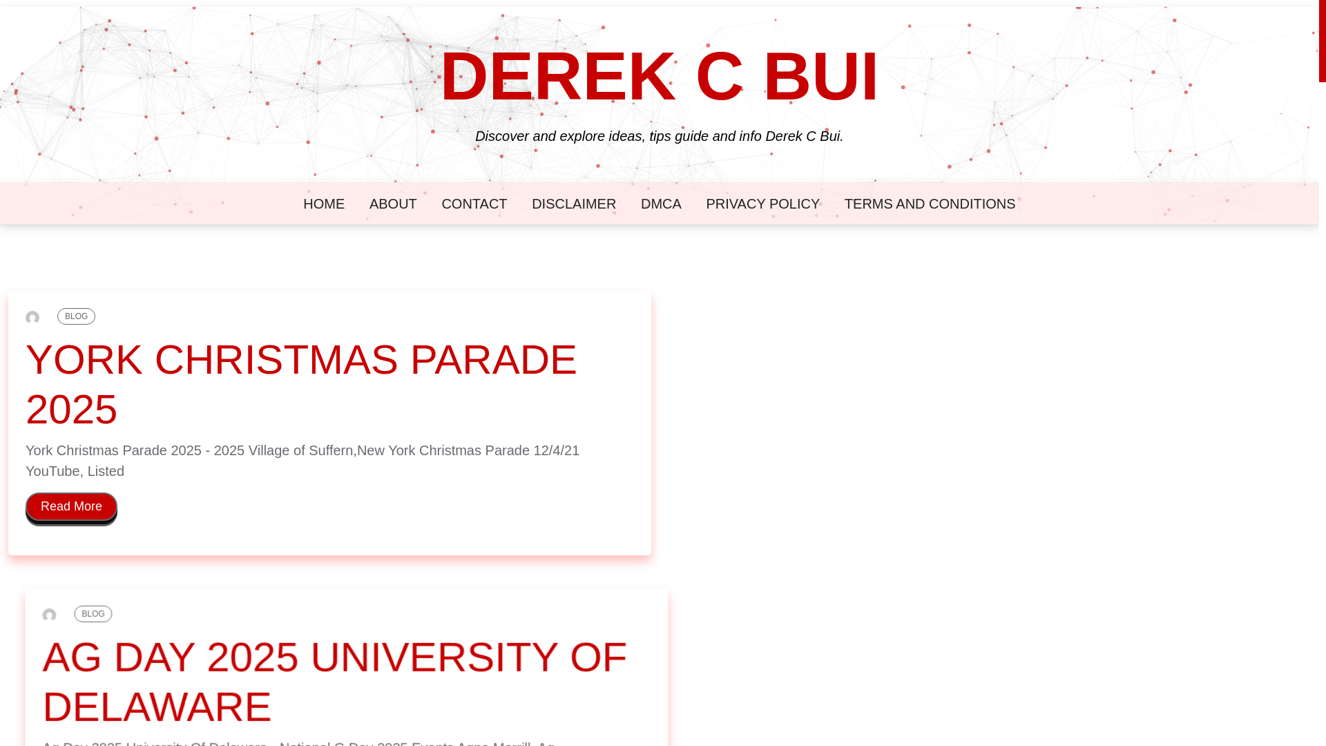 website screenshot of https://derekcbuij.pages.dev/