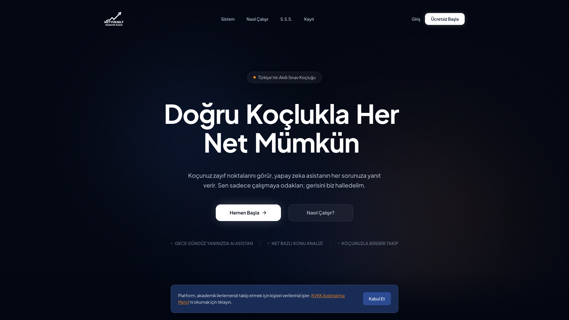 website screenshot of https://netyukselt.com