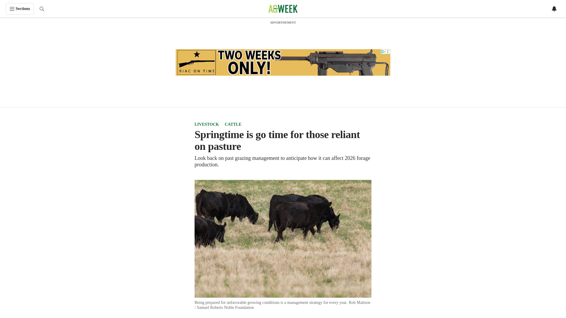 website screenshot of https://www.agweek.com/livestock/cattle/springtime-is-go-time-for-those-reliant-on-pasture