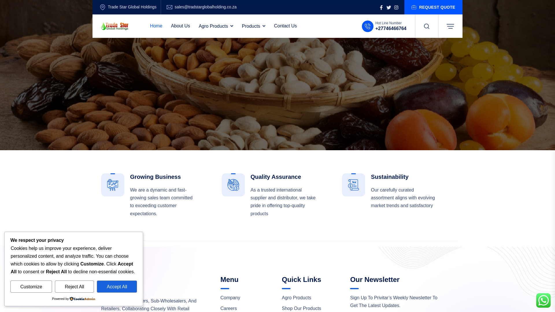 website screenshot of https://tradstarglobalholding.co.za
