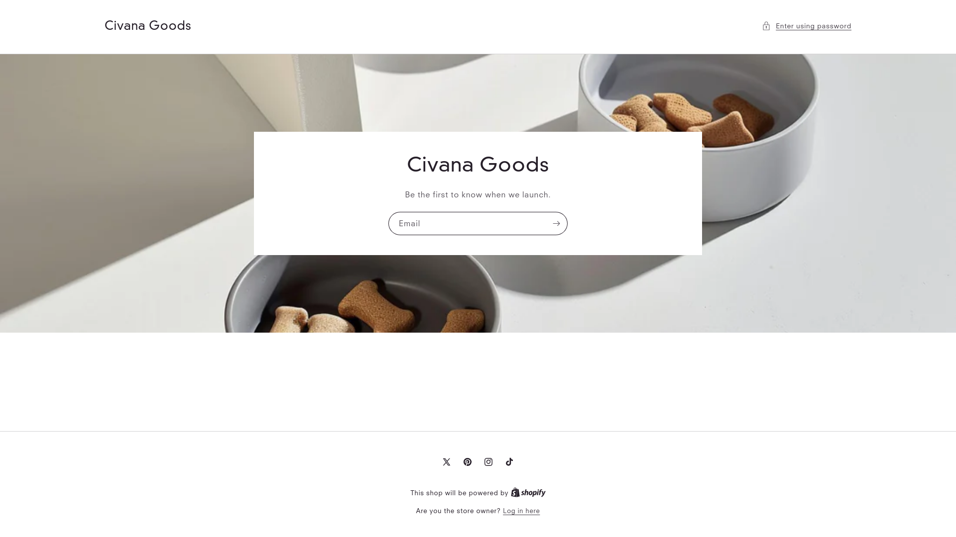 website screenshot of https://civanagoods.com/