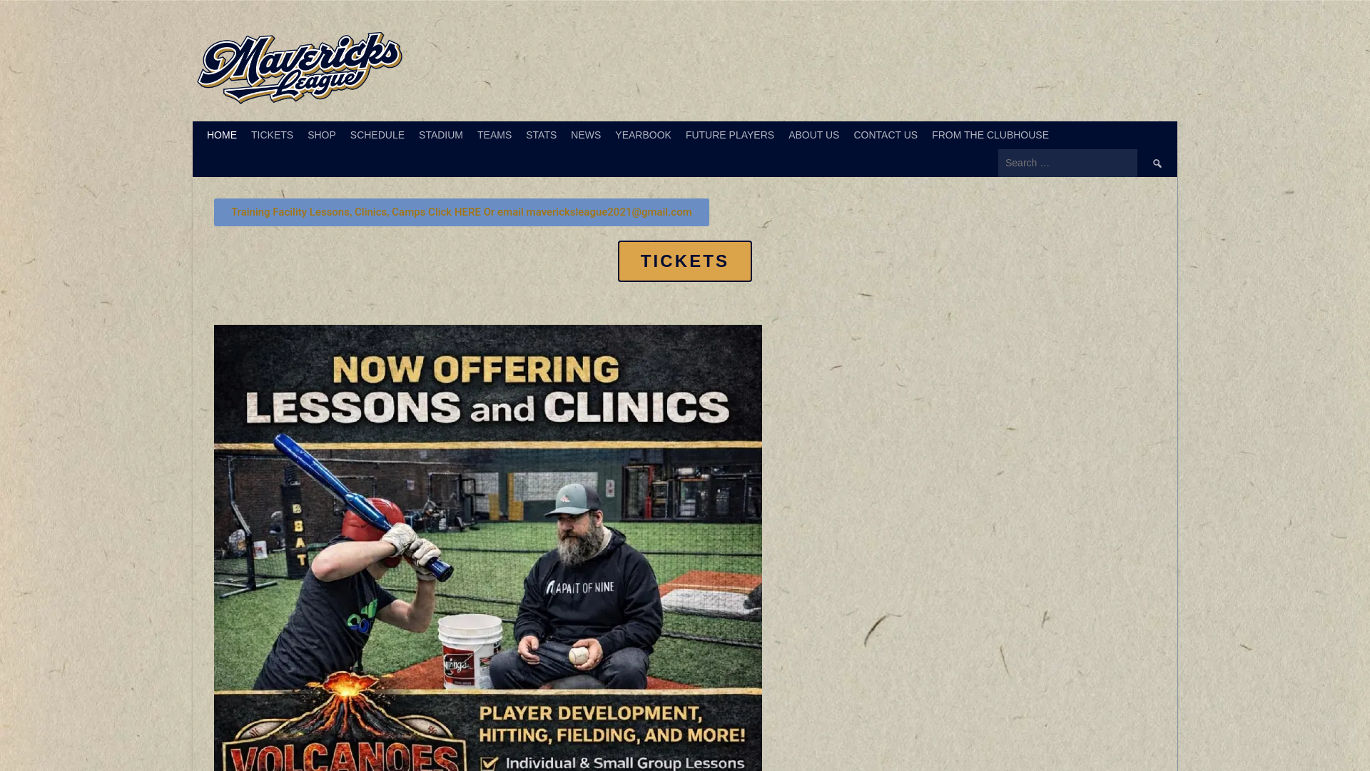 website screenshot of https://mybaseballpro.org/