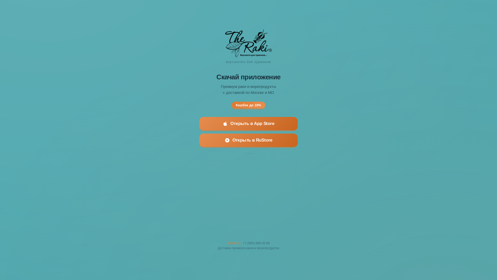 website screenshot of https://theraki.pages.dev/