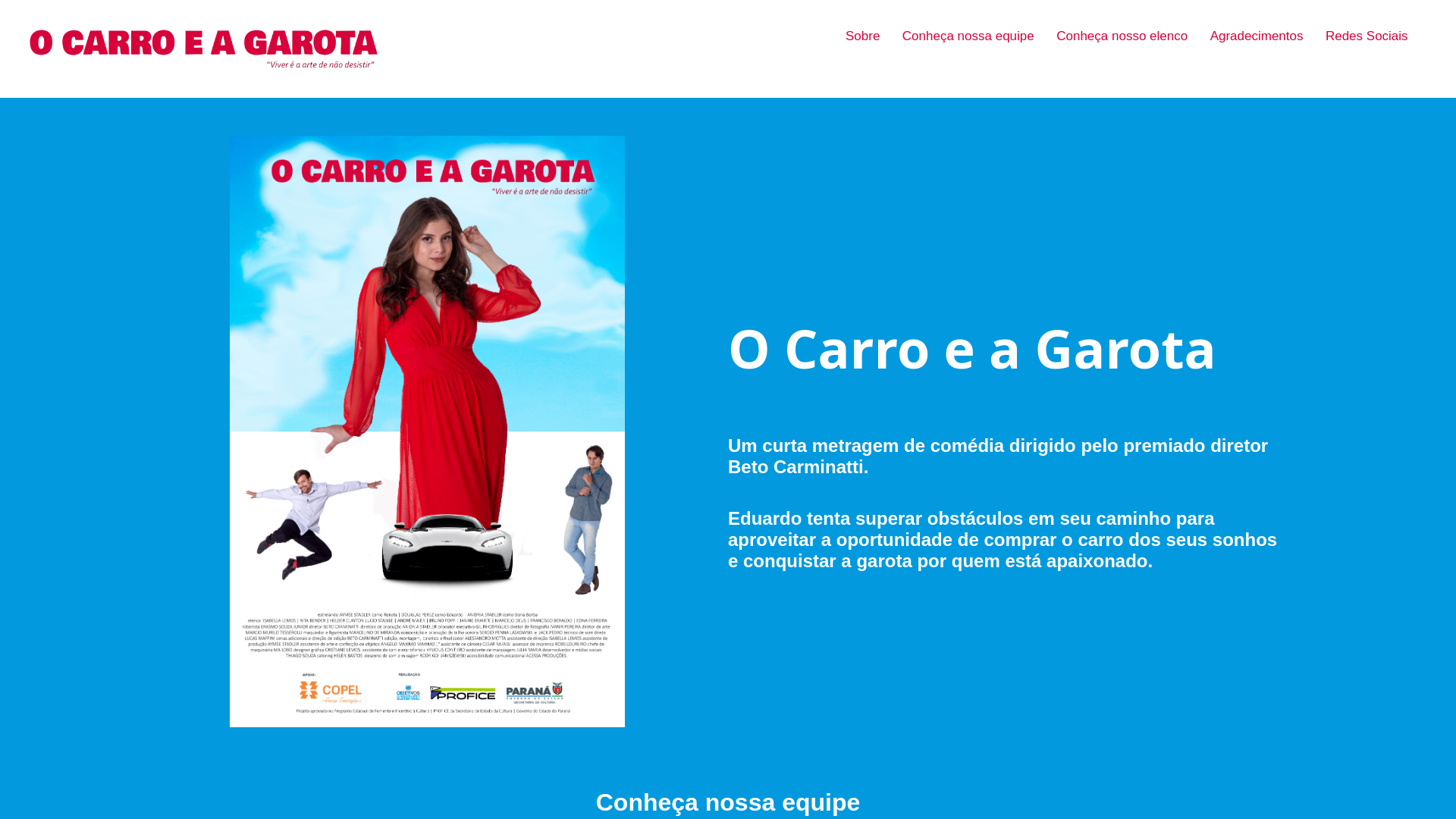 website screenshot of https://ocarroeagarota.com.br/