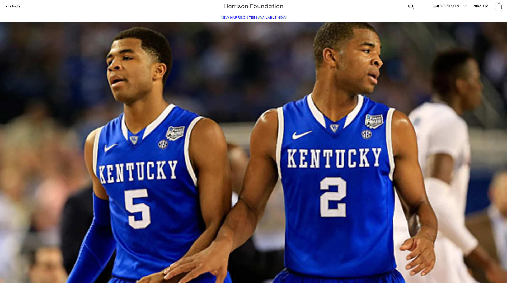 website screenshot of https://aharrisonfoundation.us/