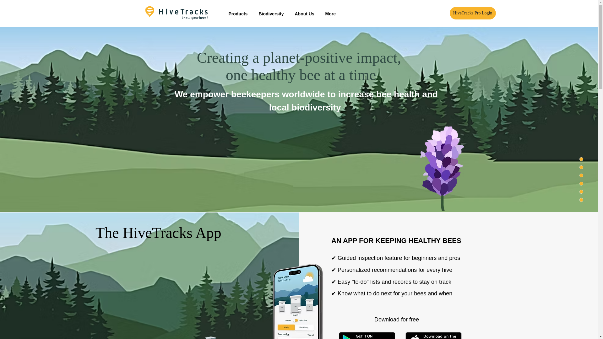 website screenshot of https://www.hivetracks.com/