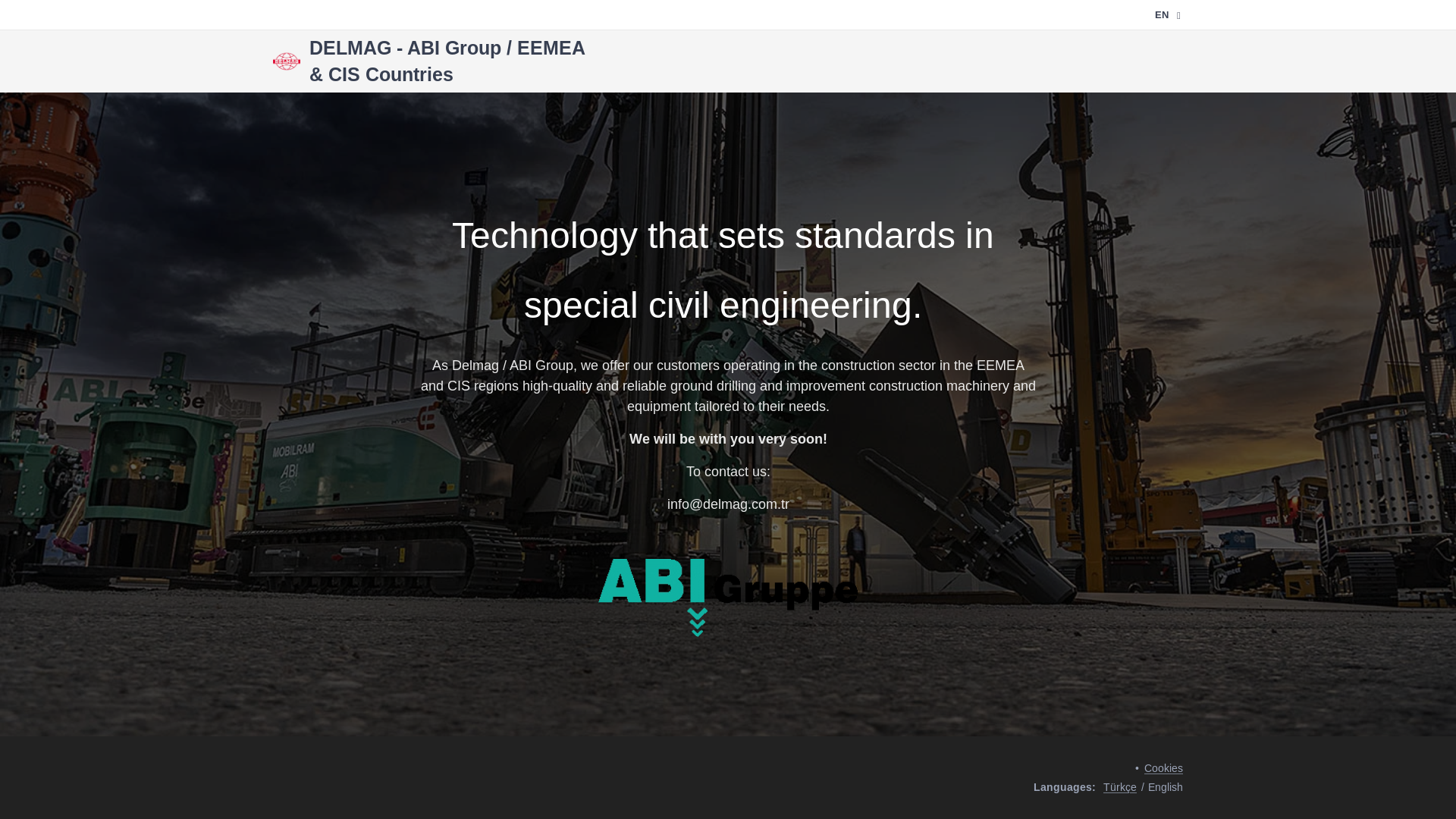 website screenshot of https://delmag.com.tr/