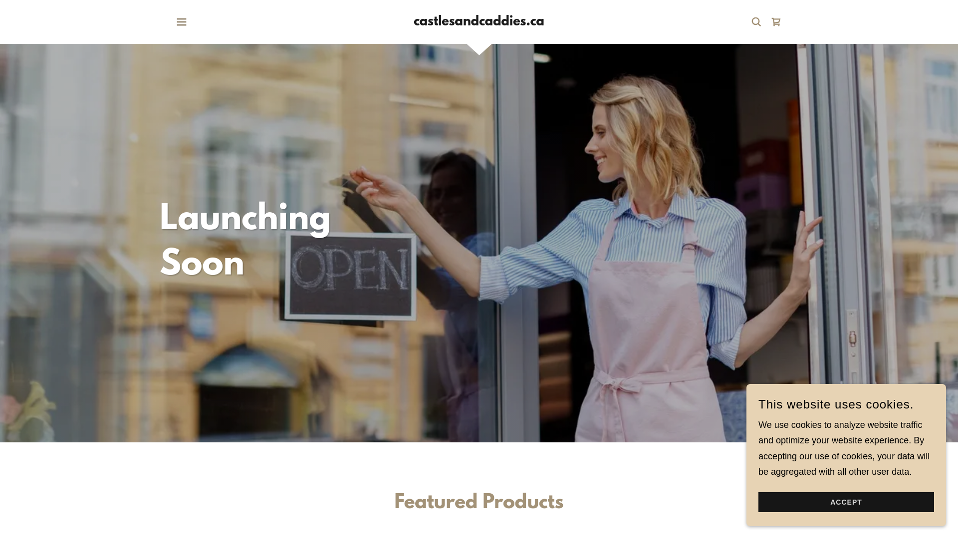 website screenshot of https://castlesandcaddies.ca/