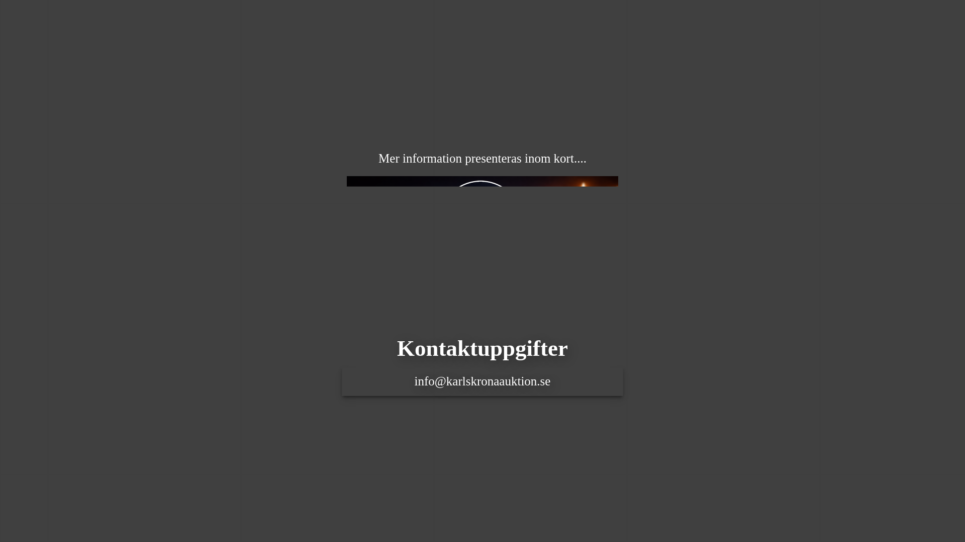 website screenshot of https://karlskronaauktion.se/