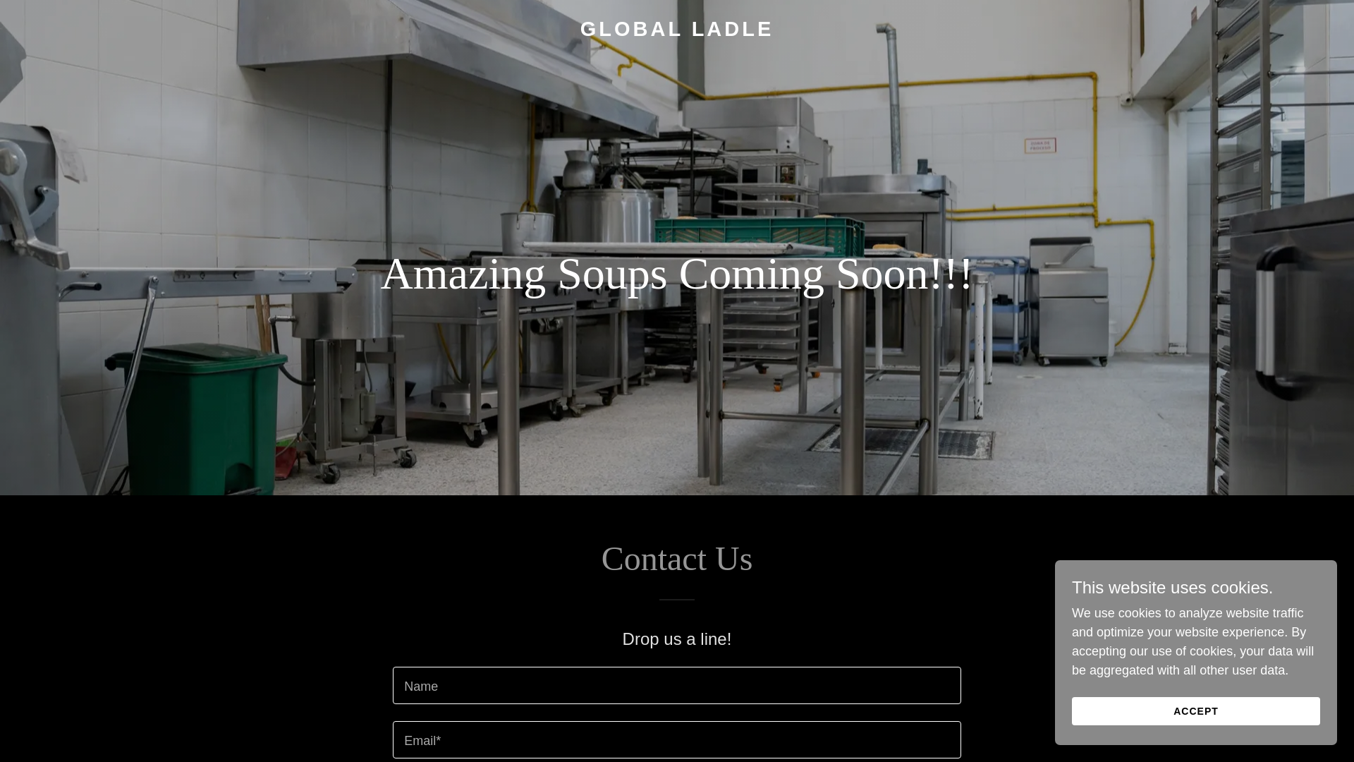 website screenshot of https://globalladle.com/